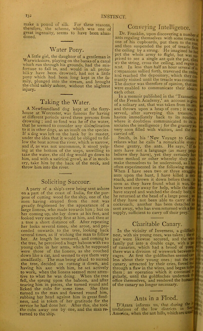 make a pound of silk. For these reasons, therefore, the scheme, which was one of great ingenuity, seems to have been aban- doned. Water Pony. A little girl, the daughter of a gentleman in Warwickshire, playing on the banks of a canal which run through his grounds, had the mis- fortune to fall in, and would in all proba- bili.y have been drowned, had not a little pony which had been long kept in the fa- mily, plunged into the stream, and brought the child safely ashore, without the slightest injury. Taking the Water. A Newfoundland dog kept at the ferry- house at Worcester, was famous for having at different periods saved three persons from drowning ; and so fond was he of the water, that he seemed to consider any disinclination to it in other dogs, as an insult on the species. If a dog was left on the bank by its master, under the idea that it would be obliged to fol- low the boat across the river, which is narrow, and if, as was not uncommon, it stood yelp- ing at the bottom of the steps, unwilling to take the water, the old dog would go down to him, and with a satirical growl, as if in mock- ery, take him by the back of the neck, and throw him into the river. Soliciting Succour. A party of a ship’s crew being sent ashore on a part of the coast of India, for the pur- pose of cutting wood for the ship, one of the men having strayed from the rest was greatly frightened by the appearance of a large lioness, who made towards him ; but on her coming up, she lay down at his feet, and looked very earnestly first at him, and then at a tree a short distance off. After repeating her looks several times, she arose, and pro- ceeded onwards to the tree, looking back several times, as if wishing the man to follow her. At length he ventured, and coming to the tree, he perceived a huge baboon with two young cubs in her arms, which he supposed were those of the lioness, as she couched down like a cat, and seemed to eye them very steadfastly. The man being afraid to ascend the tree, decided on cutting it down, and having his axe with him, he set actively to work, when the lioness seemed most atten- tive to what he was doing. When the tree fell, she sprung upon the baboon, and after tearing him in pieces, she turned round and licked the cubs for some time. She then turned to the man and fawned round him, rubbing her head against him in great fond- ness, and in token of her gratitude for the service he had done her. After this, she took the cubs away one by one, and the man re- turned to the ship. Conveying Intelligence. Dr. Franklin, upon discovering a numberof f ants regaling themselves with some treacle ii f ntlf* of” Vlic rtiTiktiTfrli: ruit thum .1 one of his cupboards, put them to the roui and then suspended the pot of treacle from the ceiling by a string. He imagined he had put the whole army to flight, but was sui piised to see a single ant quit the pot, climb up the string, cross the ceiling, and regain it, nest. In less than half an hour several of iu c impanions sallied forth, traversed the ceilin and reached the depository, which they cot siantly visited until the treacle was consumed. The doctor was therefore of opinion, that ant were enabled to communicate their ideas to each other. In a memoir published in the ‘Transacting of the French Academy,’ an account isgivK of a solitary ant, that was taken from its nee, and thrown upon a heap of corn ; it wasdb- served, after surveying this treasure, t( hasten immediately back to its residenct where it doubtless communicated to its as sociates the intelligence ; for the granary** ; very soon filled with visitors, and the con carried off. Smith, in his ‘New Voyage to Guinea,’ relates what he calls ‘ a remarkable these gentry, the ants. He says, ‘ If the ants have not a language (as many peopk believe they have), yet they certainly(hair some method or other whereby they casir make themselves to be understood, as I.Sat often experimented in the following manne. When I have seen two or three stragglin' ants upon the hunt, I have killed a cod roach, and thrown it down before them, k soon as they have found what it wasJth: have sent one away for help, while the other have stayed and watched the deady body, tl he returned at the head of a large posse atfil if they have not been able to carry off tb cockroach, another has been detached.® sent away, who has soon returned with a fist supply, sufficient to carry off their prey.’* f I u Guinea,’ t; story«f L, ■ ir a. Charitable Canary. In the vicinity of Inverness, a goldfinch's • nest, with six young ones, was taken; theot pair were likewise secured, and the whdt family put into a double cage, with a p*; f • of canaries, which had a brood of younf ■- there was a division of wirework betweentb ■* cages. At first the goldfinches seemed up less about their young ones ; Dut the cod » canary', attracted by' their cries, forced iti* ^ through a flaw in the wires, and began tofes them ; an operation which it continued P gularly, until the goldfinches undertook office themselves, and rendered the humaMIJl of the canary no longer necessary. Ants in a Flood. D’Azara informs us, that during thej undations of the low districts in America, when the ant hills, which arcus