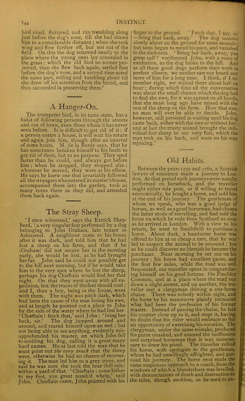 bird cried, fluttered, and ran trembling along just before the dog’s nose, till she had drawn him to a considerable distance ; when she took wing and flew farther off, but not out of the field. On this the dog returned nearly to the place where the young ones lay concealed in the grass ; which the old bird no sooner per- teived, than she flew back again, settled first before the dog’s nose, and a second time acted the same part, rolling and tumbling about till she drew off his attention from the brood, and thus succeeded in preserving them.’ A Hanger-On. The trumpeter bird, in its tame state, has a habit of following persons through the streets and out of town, even those whom it has never seen before. It is difficult to get rid of it: if a person enters a house, it will wait his return and again join him, though after an interval of some hours. M. de la Borde says, that he has sometimes betaken himself to his heels to get rid of them, but to no purpose. They sped faster than he could, and always got before him ; when he stopped, they stopped also ; wherever he moved, they were at his elbow. He says he knew one that invariably followed all the strangers who entered its master’s house, accompanied them into the garden, took as many turns there as they did, and attended them back again. The Stray Sheep. ‘ I once witnessed,’ says the Ettrick Shep- herd, ‘ a very singular feat performed by a dog belonging to John Graham, late tenant in Ashiesteel. A neighbour came to his house after it was dark, and told him that he had lost a sheep on his farm, and that if he (Graham) did not secure her in the morning early, she would be lost, as he had brought her far. John said he could not possibly get to the hill next morning, but if he would take him to the very spot where he lost the sheep, perhaps his dog Chieftain would find her that night. On that they went away with all ex- pedition, lest the traces of the feet should cool ; and I, then a boy, being in the house, went with them. The night was pitch dark, which had been the cause of the man losing his ewe, and at length he pointed out a place to John by the side of the water where he had lost her. ‘Chieftain! fetch that,’said John ; ‘bring her back, sir.’ The dog jumped around and around, and reared himself upon an end ; but not being able to see anything, evidently mis- apprehended his master, on which John fell to scolding his dog, calling it a great many hard names. He at last told the man that he must point out the very track that the sheep went, otherwise he had no chance of recover- ing it. The man led him to a grey stone, and said he was sure she took the brae (hill side) within a yard of that. ‘ Chieftain ; come hither to my foot, you great numb’d whelp,' said John. Chieftain came, John pointed with his finger to the ground. ‘ Fetch that, I say, sir —bring that back, away.’ The dog scented slowly about on the ground for some seconds ; but soon began to mend his pace, and vanished in the darkness. ‘ Bring her back, away, you great calf !’ vociferated John, with a voice of exultation, as the dog broke to the hill. And as all these good dogs perform their work in perfect silence, we neither saw nor heard any more of him for a long time. I think, if I re- member right, we waited there about half an hour; during which time all the conversation was about the small chance which the dog had to find the ewe, for it was agreed on all hands, that she must long ago have mixed with the rest of the sheep on the farm. How that was, no man will ever be able to decide. John, however, still persisted in waiting until his dog came back, either with the ewe or without her: and at last the trusty animal brought the indi- vidual lost sheep to our very feet, which the man took on his back, and went on his way rejoicing.’ Old Habits. Between the years 1750 and 1760, a Scottish lawyer of eminence made a journey to Lon- don. At that period such journeys were usually performed on horseback, and the traveller might either ride post, or if willing to travel economically, he bought a horse, and sold him at the end of his journey. The gentleman of whom we speak, who was a good judge of horses, as well as agood horseman, had chosen the latter mode of travelling, and bad sold the horse on which he rode from Scotland as soon as he arrived in London. With a view to his return, he went to Smithfield to purchase a horse. About dusk, a handsome horse was offered to him at so cheap a rate, that he was''- led to suspect the animal to be unsound ; but as he could discover no blemish he became the purchaser. Next morning he set out on his journey ; his horse had excellent paces, and the first few miles, while the road was well frequented, our traveller spent in congratulat- ing himself on his good fortune. On Finchley Common, and at a place where the road run down a slight ascent, and up another, the tra- | veller met a clergyman driving a one-horse chaise. There was nobody w’ithin sight, and the horse by his manoeuvre plainly intimated what had been the profession of his former master. Instead of passing the chaise, he laid his counter close up to it, and stopt it, having i no doubt that his rider would embrace so fair > an opportunity of exercising his vocation. The , clergyman, under the same mistake, produced | his purse unasked, and assured the inoffensive and surprised horseman that it was unneces- sary to draw his pistol. The traveller rallied his horse, with apologies to the gentleman, i: whom he had unwillingly affrighted, and pur- }: sued his journey. The horse next made the I> same suspicious approach to a coach, from the §:. windows of which a blunderbuss was levelled, Ik: with denunciations of death and destruction to ib the rider, though sackless, as he used to ex- tt