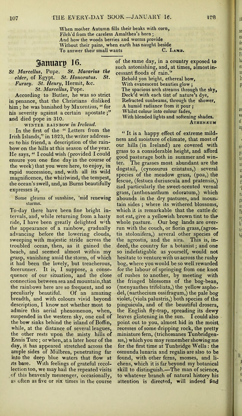 When mother Autumn fills their beaks with corn. Filch’d from the careless Amalthea’s horn ; And how the woods berries and worms provide Without their pains, when earth has naught beside To answer their small wants C. Lamb. Slamiarp 16. St Marcellus, Pope. St. Macarius the elder, of Egypt. St. Honoratus. St. Fursey. St. Henry, Hermit, &c. St. Marcellus, Pope. According to Butler, he was so strict in penance, that the Christians disliked him ; he was banished by Maxentius, “ for his severity against a certain apostate and died pope in 310. WINTER RAINBOW in Ireland. In the first of the “ Letters from the Irish Islands,” in 1823, the writer address- es to his friend, a description of the rain- bow on the hills at this season of the year. He says, “ I could wish (provided I could ensure you one fine day in the course of the week) that you were here, to enjoy, in rapid succession, and, with all its wild magnificence, the whirlwind, the tempest, the ocean’s swell, and, as Burns beautifully expresses it. Some gleams of sunshine, ’mid renewing storms. To-day there have been fine bright in- tervals, and, while returning from a hasty ride, I have been greatly delighted wHh the appearance of a rainbow, gradually advancing before the lowering clouds, sweeping with majestic stride across the troubled ocean, then, as it gained the beach, and seemed almost within my grasp, vanishing amid the storm, of which it had been the lovely, but treacherous, forerunner. It is, I suppose, a conse- quence of our situation, and the close connection between sea and raountain,that the rainbows here are so frequent, and so peculiarly beautiful. Of an amazing breadth, and with colours vivid beyond description, I know not whether most to admire this aerial phenomenon, when, suspended in the western sky, one end of the bow sinks behind the island of Boffin, while, at the distance of several leagues, the other rests upon the misty hills of Ennis Turc; or when, at a later hour of the day, it has appeared stretched across the ample sides of Miilbrea, penetrating far into the deep blue waters that flow at Its base. With feelings of grateful recol- lection too, we may hail the repeated visits of this heavenly messenger, occasionally, as often as five or six times in the course of the same day, in a country exposed to such astonishing, and, at times, almost in- cessant floods of rain.” Behold yon bright, ethereal bow, With evanescent beauties glow ; The spacious arch streams through the sky. Deck’d with each tint of nature’s dye, Refracted sunbeams, through the shower, A humid radiance from it pour ; Whilst colour into colour fades, With blended lights and softening shades. Athen.eum “ It is a happy effect of extreme mild- ness and moisture of climate, that most of our hills (in Ireland) are covered with grass to a considerable height, and afford good pasturage both in summer and win- ter. The grasses most abundant are the dogstail, (cynosurus cristatus,) several species of the meadow grass, (poa,) the fescue, (festuca duriuscula and pratensis,) and particularly the sweet-scented vernal grass, (anthoxanthum odoratum,) which abounds in the dry pastures, and moun- tain sides ; where its withered blossoms, which it is remarkable that the cattle dc not eat, give a yellowish brown tint to the whole pasture. Our bog lands are over- run with the couch, or florin grass, (agros- tis stolonifera,) several other species of the agrostis, and the aira. This is, in- deed, the country for a botanist; and one so indefatigable as yourself, would not hesitate to venture with us across the rushy bog, where you would be so well rewarded for the labour of springing from one knot of rushes to another, by meeting with the fringed blossoms of the bog-bean, (menyanthes trifoliata,) the yellow aspho- del, (narthecium ossifragum,) the pale bog violet, (viola palustris,) both species of the pinguicula, and of the beautiful drosera, the English fly-trap, spreading its dewy leaves glistening in the sun. I could also point out to you, almost hid in the moist recesses of some dripping rock, the pretty miniature fern, (trichomanes Tunbridgen- sis,) which you may remember showing me for the first time at Tunbridge Wells: the osmunda lunaria and regalis are also to be found, with other ferns, mosses, and li- chens, which it is far beyond my botanical skill to distinguish.—The man of science, to whatever branch of natural history his attention is directed, will indeed find