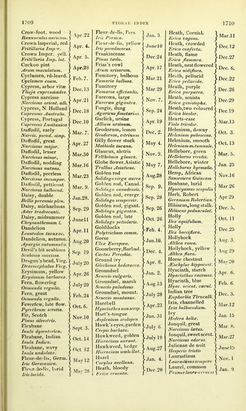 1710 Crow-foot, wood ^ Hnnmiruliis aiiricom. j Oown Impericd, red j Fritillaria Imp’r. J Crown Imper. yell. 7 FritiUaria Imp. lul. J ‘ Cuckoo pint 7 Arum maculatum. f ' Cyclamen, rd-leavd.7 , Cyclamen cnum. \ ' Cypress, arbor vitae 1 j 7'huja cupressioides. y Cypress narcisse 7 Narcissus orient, alb. j ‘ Cypress, N. Holland 7 j Citpressus Australis. J Cypress, Portugal 7 j Cupressus Lusitanica j HafFodil, early 1 j Narcis. pseud, simp, y Daffodil, great 1 Narcissus major. \ Daffodil, lesser \ j Narcissus ininor. j Daffodil, nodding 7 j Narcissus nutans. 3 Daffodil, peerless 7 j Narcissus incompar. J Daffodil, petticoat 7 j Narcissus bulbocod. 3 Daisy, double 7 Beilis perennis plen. 3 ' Daisy, michaelnias ) , Aster tradescanti. \ ' Daisy, midsummer 7 Chrysanthemum 1. 3 Dandelion 7 Leontodon taraxac. J Dandelion, autumn. 7 Apargia nutumnatis. 3 Devil’s bit scabious 1 « Scabiosa succissa. J ^ Dragon’s bead, Virg. 7 Dracocephalus Virg. j ' Erysimum, yellow 7 Erysimum barbarca. j ‘ Fern, flowering 7 Osmunda regalis. J ' Fern, great 7 ■ Osmunda regalis. f Feverfew, late flow. 7 ^ Pyrethrum scrolin. \ Fir, Scotch 7 j Pinus silvestris. J Fleabane 7 , Inula dysenferica. J ^ Fleabane, Indian \ ^ Inula Indica. J Fleabane, wavy 7 , Inula undulata. 3 Fleur-de-li.s, Germ. 7 Iris Germanica. 3 Iris luiidn. 1 Fleur-de-lis, Pers. Iris Persica. Fleur-de-lis, yellow 1 Iris pseudacorus. ^ Frankincense 1 Pinus tceda. J Friai’scowl i Arum arisarum. J Fumitory, bulbous 7 Fumaria bulbesa. J Fumitory 7 Fumaria officinalis, j Fureroea, large j Fureraea gig ant ea. J Fungis, dung ] Agaricus fimetarius. J Garlick, ursine ] Allium ursinum. J Geodoruin, lemon j Geodorum, citrmum j Gillyflower stock ) Mathiola incana. j Glaucus, aletris Veltheimia glauca. Globe flower,Asiatic^ Trollius Asiaticus. Golden rod Solidago virga aurea J Golden rod, Canad.] Solidago canadensis, y Golden rod, evergr. Solidago sempcrvir. Golden rod, gngant. Solidago gigantea. Golden rod, late Solidago petiolaris. Goldilocks I Polytrichum comm. J Gorse Ulex Europeea. Gooseberry, Barbad. Cactus Pereshia. Ground ivy ' Glechoma hederacca. ] Groundsel 1 Senecio vulgaris. ) Groundsel, marsh Senecio paludosus. J Groundsel, mount. ' Senecio montanus. J Harebell Hyacinthus nonscrip. Hart’s-tongue Asplenium scolopen ^ Hawk’s eyes,garden 1 Crepis barbata. ^ Havvkweed, golden Hieracium aurant. Hawkweed, hedge ' Hieracium umbcllat.^ Hazel Coryliis avellana. Heath, bloody 1 Erica cruenta. Heath, Cornish Erica vagans. Heath, crowded Erica conferta. Heath, flame Erica Jiammea. Mar. 11 Dec.l2 j-Dec.27 Heath, nest flowered 7 y-, j-Dec. 6. ^ Dec .22 Dec. 26 Erica nidifiora Her.th, pellucid Erica pellucida. Heath, purple Erica purpurea. Heath, senista Erica genistopha. Heath,two coloured Erica bicolor. Hearts-ease Viola tricolor. Helenium, downy Helenium pubescens. Helenium, smooth Helenium autumnale. Hellebore, green 7 Helleborus viridis. 3 Hellebore, winter 7 Helleborus hyemails, y Hemp, African 7 Sanseviera Guineam J Henbane, lurid 7 Hyoscyamus scopolia ) Herb, Robert A r Geranium Robertian. y * Hibiscus,longstalk.7 J3gj, Hibiscus pedunculat. y Dec.29 Dec.19 • Mar.l3 Oct. 3. Oct. 13 Mar. .7. ■ Jan. 2,5 Nov.16 Mar.26 29 Oct. 11 Dec.2.5 Holly Ilex aquifolium. Holly Ilex baccijlorn. Hollyhock Althea rosea. Hollyhock, yellow 7 , Althea Jlava. j ' ° Horse chestnut jEschylus hippocast. j ^  Hyacinth, starch | a ^ 6 Hyacinthus racemos. y  Hyacinth, blue 1 g Hyac. orient, caerul. J Indian tree 1 r)„„ q Euphorbia Tirucalli.y Ixia, channelled \ j., .0 Ixia bulbocodium. j Aug.: Ivy Hedera helix. Jonquil, great 7 Narcissus leetus. j Jonquil, sweet scent. 7 Narcissus odor us. \ Julienne de nuit 7 Hesperis tristis j Lanrastinus 7 Laurastinus semperv y Laurel, common 7 Prunuslaiira-ccritsus \ Jan. 15 Mar. 8. Mar.27 June19 Nov. 1