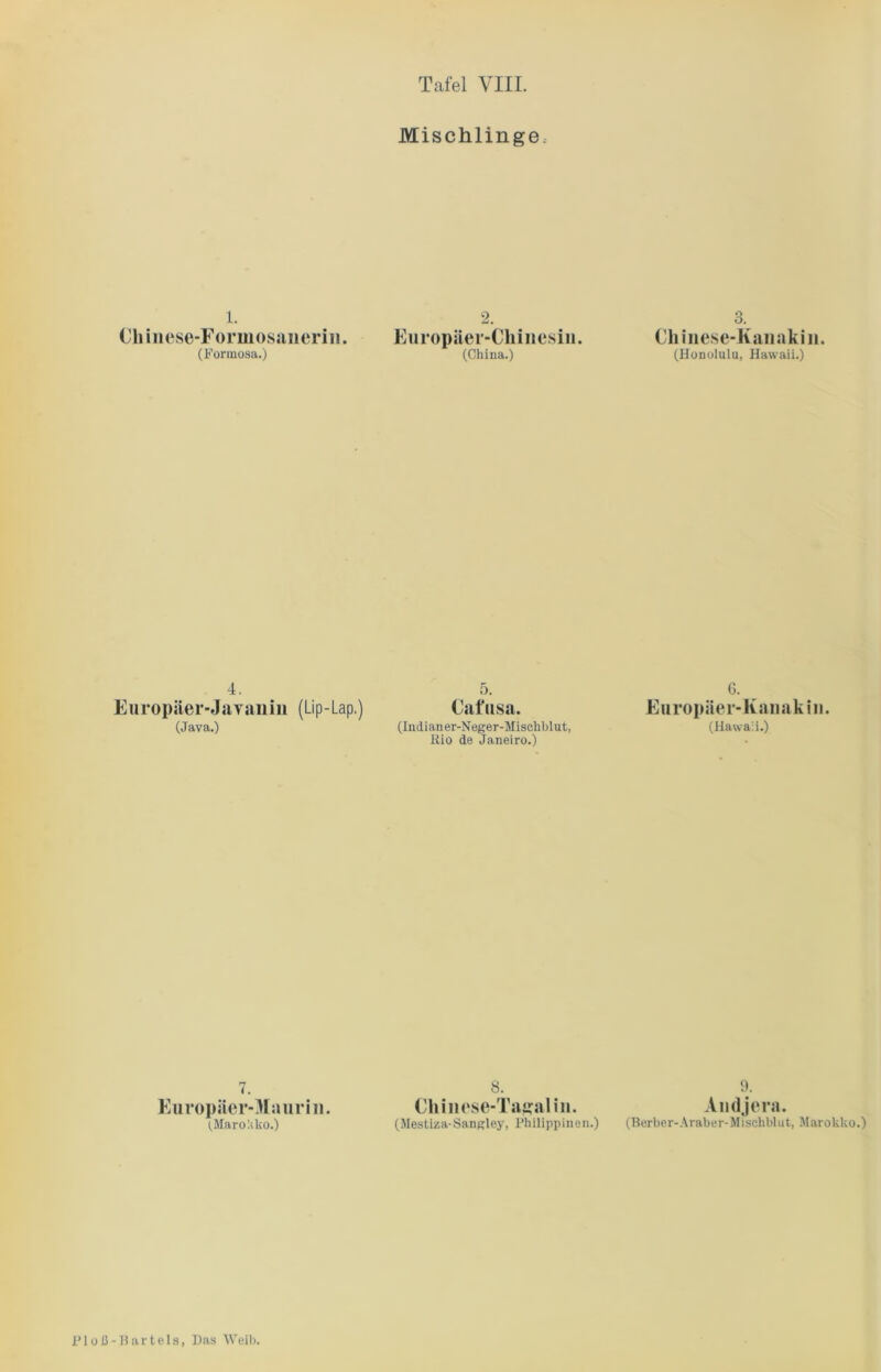 Mischlinge, l. Chinese-Formosaiierin. (Formosa.) 2. Europäer-Chinesin. (China.) 3. Chinese-Kan ak in. (Honolulu, Hawaii.) 4. Europiier-Javanin (Lip-Lap.) (Java.) 5. Cafusa. (Indian er-Neger-Mischblut, Rio de Janeiro.) 6. Europiier-Kanakin. (Hawaii.) 7. Europäer-Maurin. ^Marokko.) 8. Chinese-Tagalin. (Mestiza-Sangley, Philippinen.) 9. Andjera. (Berber- Araber-Mi schblut, Marokko.)