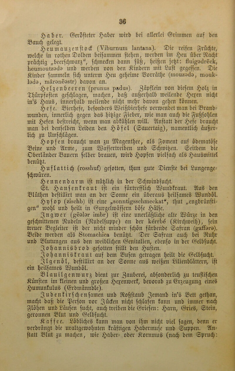 §aber. ©croftcter ^abev tüirb bei nttertei ©rimmcn nuf ben ^audj gelegt. ^eumau3en[tod (Viburnum lantana). SDie reifen -f^rüd^te, raeldje in rotljen Kolben bcifammen fteljen, inerben im i^en über 3^ac§t prdd)tig „beerfdjinarg, fdjmeden bann jü^, ^ei|en fluigodreck, lieumoutzodo nnb roerben non ben ^inbern mit Suft gegeffen. ®ie ^inber fammeln [idj nnterm §en gel^eime SSorrdt^e (mouzodo, mouk- lado, maroneostr) banon an. .i^etgenbeeren (prunus padus). biefem in !itf)ürpfoften gefdjlagen, mad)en, ba^ anjser^alb roeilenbe §epen nid^t in’g §an§, innerljalb rocilenbe nid)t mel^r banon ge^en lönnen. ^ e f e. ißierliefe, befonberS 3ßei^bierf)efe nerraenbet man bei 33ranb; rannben, innerlid) gegen ba§ l^ii^ige lieber, raie man aud^ bie ^u^fo^len mit §efen beftreidjt, raenn man abfü^len roid. Slnftatt ber ^efe braui^t man bei benfelben Seiben ben §öfel (©anertaig), namentlid^ du|er= lid^ 311 Umfc^tdgen. ^opfen brandtjt man ^n ?[dagent^ee, al§ Moment auf obematöfe ^etne nnb 2lrme, jum Söaffertreiben nnb «SdjTDil^en. (Seitbem bie Oberldnber 33anern felber brauen, rairb ^opfen nielfa^ al§ §au§mittel benü^t. §uftattid§ (rosshnf) gefotten, t^nn gute SDienfte bei Snngenge= fdfiraüren. ^ennenbarm ift nüt^lid^ in ber ©d^tDinbfnd^t. (§t. ^anfenlrant ift ein fürtrefflidf) SÖnnbfrant. 5ln§ ben S3lntl^en beftidirt man an ber ©onne ein Überang l^eilfameg Sönnböl. §pfop (zischb) ift eine „sonntigssclimeckat'^, tf)iit „engbrünfti= gen rao^l nnb ’^eilt in ©urgelmdffern böfe §dlfe. ^ngroer (geobr imbr} ift eine nnerld^lic^e alte Sßür^e in ben gefd^nittenen dlnbeln (dinbelfuppe) an ber kerrbe (Äiri^mei^), fein treuer S3egleiter ift ber nidjt minber fcf)ön fdrbenbe «Safran (gaffara). S3eibe raerben al§ Stomacbica benützt. SDer Safran aud^ bei dtnljr nnb ^Blutungen aug ben roeiblic^en ©enitalien, ebenfo in ber @elbfnd^t. 3ol§annigbrob gefotten ftidt ben ^uften. ^ü^^anniglrant auf bem Bnfen getragen |eilt bie ©elbfnd^t. 31 genöl, beftidirt an ber Sonne ang meinen Silienbldttern, ift ein ^eilfameg SBnnböl. SBlanilgenmnrj bient gnr 3^tiiberei, abfonberlid^ 3U tenflif^en fünften im lleinen nnb großen ipepenmerf, beoorab gn (Srjengnng eineg ^nmunlnlug ((Srbmdnnble). ^ubenlirfc^enfamen nnb 3fto|ftanb w’g ^ett get^an, ma(^t ba^ bie ^erfon oor ^üdfen ni(|t fd)lafen fann nnb immer nad; ^lü|en nnb iBdnfen fndjt, and§ treiben bie ©riefen: ^arn, ©rieg, Stein, geronnen 33lut nnb ©elbfud^t. Kaffee, ßöblid^eg fann man non il§m nicl)t oiel fagen, benn er nerbrdngt bie nraltgemol^nten frdftigen ^abermnfe nnb Suppen. 5ln= ftatt SBlut 3u mad)en, mie i)aber= ober ^'ornmng (nad; bem Sprnd^: