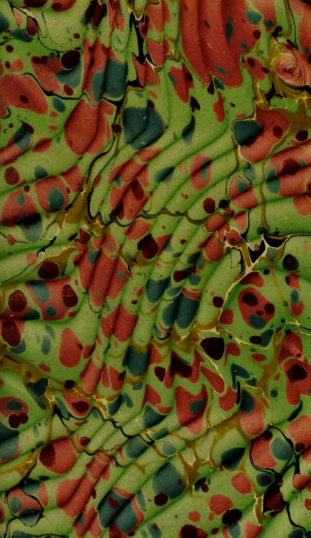 No text description is available for this image