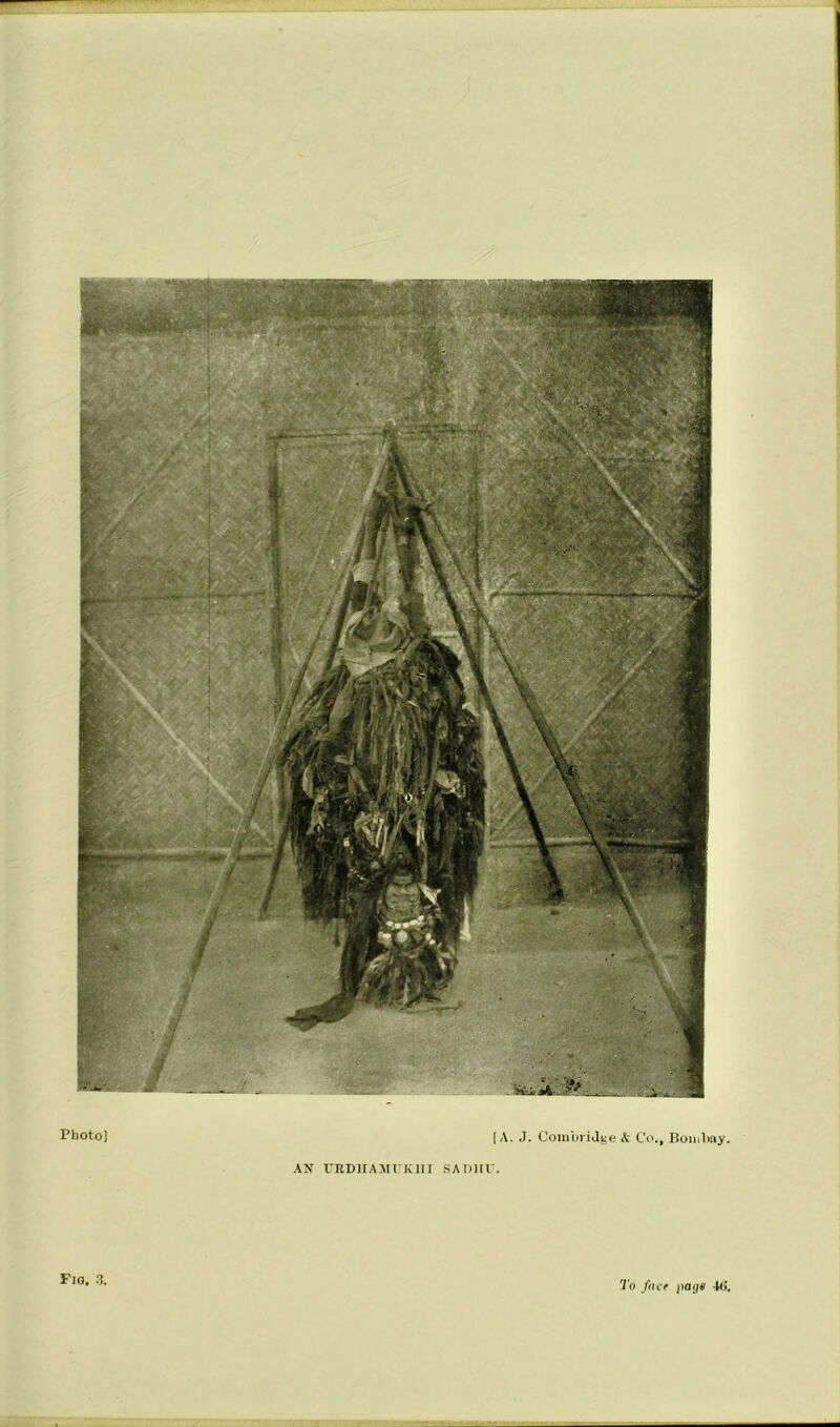 Photo] [A. J. Combi iJi^e & Co., Boiuhay. AX rRDnAMVKlII SAIilir. Fig. .3. 'Jo filer page -K!.