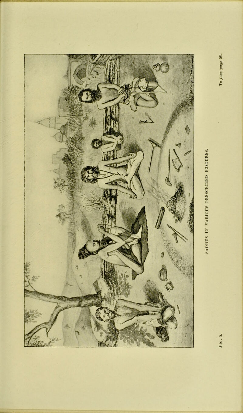 r SADHUS IX A'AEIOrS PRESCRIBED POSTURES