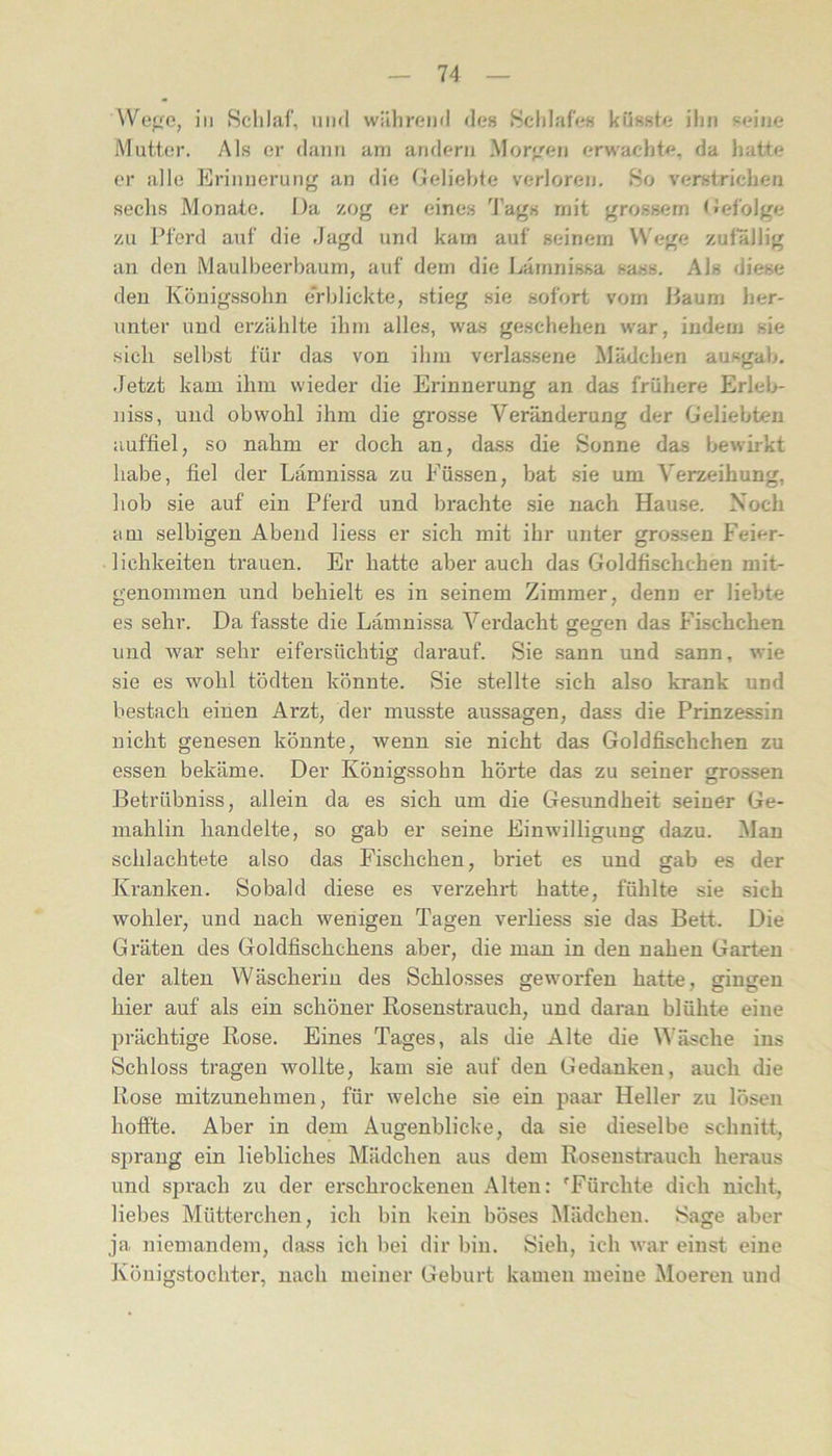 VVe<ie, in Schlaf, uimI wälircnd «les Schlafes küsste ihn sc'iiie Mutter. Als er (huin am arulcrii Mor^'^en erwachte, da Jiatte er alle Erinnerung an die Oeliehte verloren. So verstrichen sechs Monate. Da zog er eines 'J’ags mit grossem Defolge zu Pferd auf die Jagd und kam auf seinem Wege zufällig an den Maulbeerbaum, auf dem die Lämnissa sass. Als diese den Königssohn e'rblickte, stieg .sie sofort vom Daum her- unter und erzählte ihm alles, was geschehen war, indem sie sich selbst für das von ihm verla.ssene Mädchen ausgab. .fetzt kam ihm wieder die Erinnerung an das frühere Erleb- niss, und obwohl ihm die grosse Veränderung der Geliebten iiuffiel, so nahm er doch an, dass die Sonne das bewirkt habe, fiel der Lamnissa zu Füssen, bat .sie um Verzeihung, hob sie auf ein Pferd und brachte .sie nach Hause. Noch am selbigen Abend Hess er sich mit ihr unter grossen Feier- lichkeiten trauen. Er hatte aber auch das Goldfischchen mit- genommen und behielt es in seinem Zimmer, denn er liebte es sehr. Da fasste die Lämnissa Verdacht gegen das Fischchen und war sehr eifersüchtig darauf. Sie sann und sann, wie sie es wohl tödten könnte. Sie stellte sich also krank und bestach einen Arzt, der musste aussagen, dass die Prinzessin nicht genesen könnte, wenn sie nicht das Goldfischchen zu essen bekäme. Der Königssohn hörte das zu seiner grossen Betrübniss, allein da es sich um die Gesundheit seiner Ge- mahlin handelte, so gab er seine Einwilligung dazu. Man schlachtete also das Fischchen, briet es und gab es der Kranken. Sobald diese es verzehrt hatte, fühlte sie sich wohler, und nach w'enigen Tagen verliess sie das Bett. Die Gräten des Goldfischchens aber, die man in den nahen Garten der alten Wäscherin des Schlosses gew'orfen hatte, gingen hier auf als ein schöner Rosenstrauch, und daran blühte eine prächtige Rose. Eines Tages, als die Alte die \^'äsche ins Schloss tragen wollte, kam sie auf den Gedanken, auch die Rose mitzunehmen, für welche sie ein paar Heller zu lösen hoffte. Aber in dem Augenblicke, da sie dieselbe schnitt, sprang ein liebliches Mädchen aus dem Rosenstrauch heraus und sprach zu der erschrockenen Alten: 'Fürchte dich nicht, liebes Mütterchen, ich bin kein böses Mädchen. Sage aber ja niemandem, dass ich bei dir bin. Sieh, ich war einst eine Königstochter, nach meiner Geburt kamen meine Moeren und