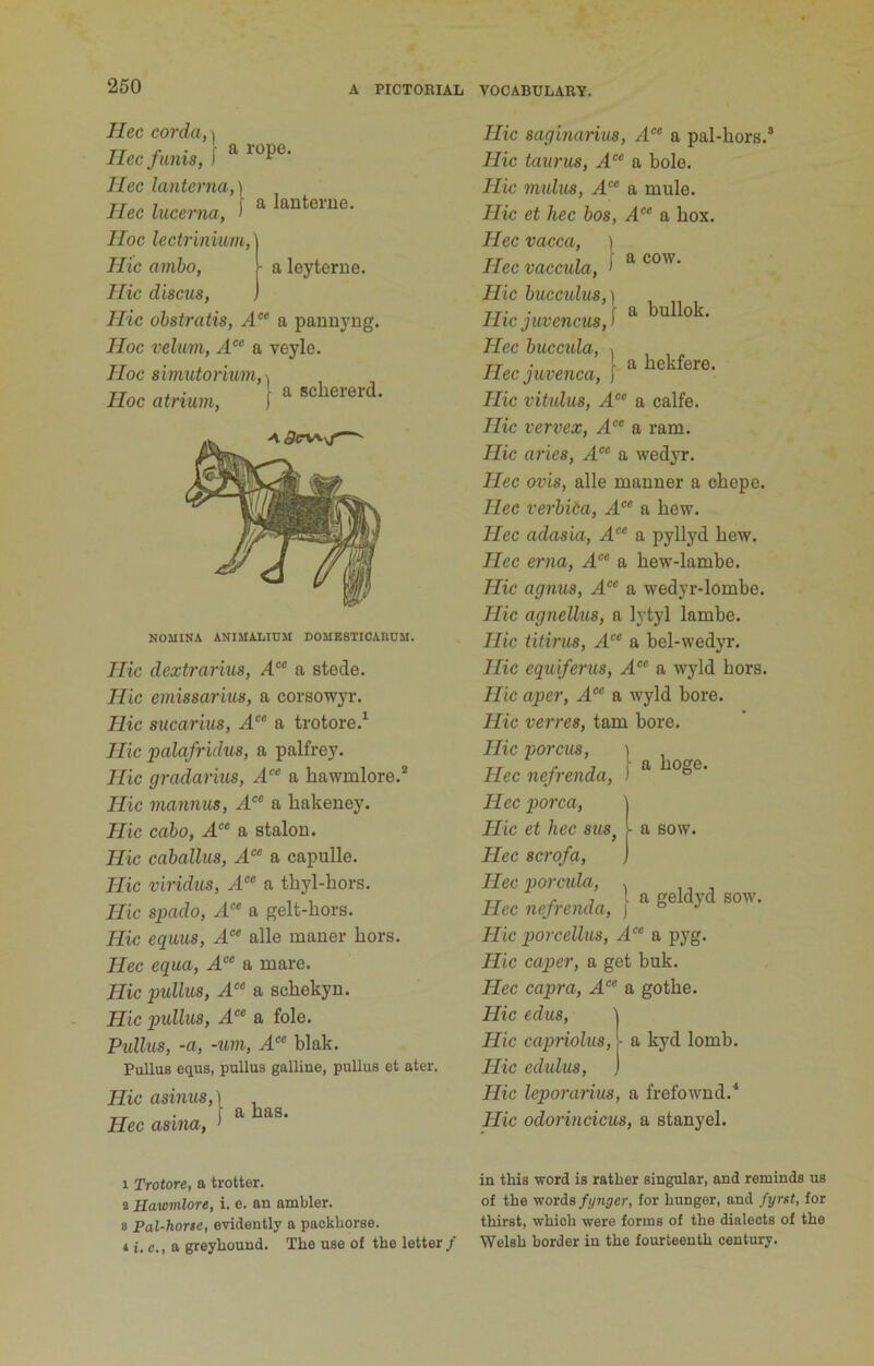 a lanterue. Hec corda, \ Hec funis, f ^ Hec lanterna,) Hec lucerna, > Hoc lectrinmm,\ Hie amho, j- a leyterne. Hie discus, ) Hie ohstratis, a pannyng. Hoc velum, A“ a veyle. Hoc simutorium,^ Hoc atrium. - a scliererd. NOMINA ANIMALIUM DOMESTICAIIUM. Hie dextrarius, a stede. Hie emissarius, a corsowyr. Hie sucarius, A‘‘ a trotore.^ Hie palafridus, a palfrey. Hie gradarius, a hawmlore.* Hie ma7inus, A“ a hakeney. Hie cabo, .4“ a stalou. Hie cahallus, a capulle. Hie viridus, A“ a tliyl-hors. Hie spado, .4 a gelt-hors. Hie equus, alle maner hors. Hec equa, A°‘ a mare. Hie pullus, A‘‘ a schekyn. Hie pullus, A‘‘ a foie. Pidhis, -a, -urn, A‘‘ blak. Pullus equs, pullus galline, pullus et ater. Hie asinus, Hec asina. a has. Hie saginarius, A“ a pal-hors.® Hie taurus, A“ a bole. Hie mulus, A‘ a mule. Hie et hec bos, A“ a box. Hec vacca, ] Hec vaccula, ^ ^ a hekfere. Hie bucculus,] Hie juvencus,! ^ Hec buccula, Hec juvenca, f Hie vitulus, A'^ a calfe. Hie vervex, 4“ a ram. Hie aries, .4®® a wed^-r. Hec ovis, alle manner a ohepe. Hec vei'bida, A“ a hew. Hec adasia, A“ a pyllyd hew. Hec erna, A‘‘ a hew-lambe. Hie agnus, A a wedyr-lombe. Hie agnellus, a lytyl lambe. Hie titirus, A“ a bel-wedyr. Hie equiferus, .4“ a wyld hors. Hie aper, A'^ a wyld bore. Hie verves, tarn bore. a hoge. I a geldj'd sow. Hie porcus, Hec nefrenda, Hec porca. Hie et hec sus. I- a sow. Hec scrofa, Hec jJorcida, Hec nefrenda. Hie porcellus, A^‘ a pyg. Hie caper, a get buk. Hec capra, A“ a gothe. Hie edus, I Hie capriolus, I a kyd lomb. Hie edulus, ) Hie leporarius, a frefownd.^ Hie odorincicus, a stanyel. 1 Trotore, a trotter, a Hawmlore, i. e. an ambler. 8 Pal-horte, evidently a packborse. 4 i. c., a greyhound. The use of the letter/ in this word is rather singular, and reminds us of the words fynger, for hunger, and fynt, for thirst, which were forms of the dialects of the Welsh border in the fourteenth century.