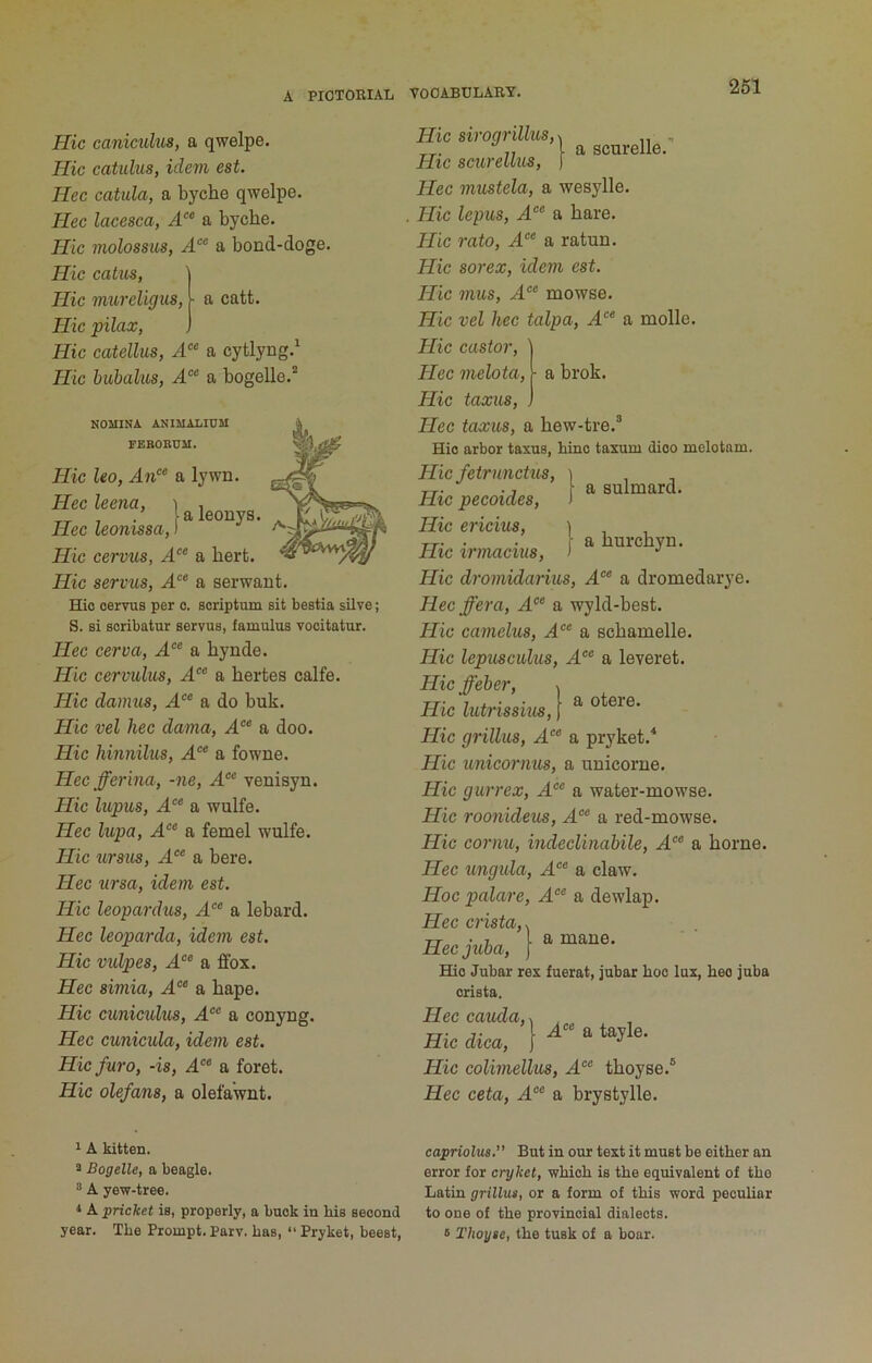 Hie caniculus, a qwelpe. Hie catulus, idem est. Hec catula, a byche qwelpe. Hec lacesca, a byche. Hie molossus, a bond-doge. Hie eatm, 1 Hie miireligus, I a catt. Hie pilax, j Hie eatellus, A“ a cytlyng.^ Hie bubahis, A‘^‘ a bogelle.“ NOMINA ANIMALIUM FBBORUM. Hie leo, An'^ a lywn. Hee leena, Hec leonissa, 1 Hie cervus, A^ a hert. Hie servus, A“ a serwant. a leonys. Hie oervus per o. scriptum sit bestia sUve; S. si scribatur servus, famulus vocitatur. Hec cerva, A“ a hynde. Hie cermlus, A‘ a hertes calfe. Hie damns, A“ a do buk. Hie vel hec dama, A‘‘ a doo. Hie hinnilus, A°‘ a fowne. Hec fferina, -ne, A'^‘ venisyn. Hie lupus, A“ a wulfe. Hec lupa, A‘^ a femel wulfe. Hie tirsus, A‘‘ a here. Hec ui'sa, idem est. Hie leopardus, A‘‘ a lebard. Hec leoparda, idem est. Hie vulpes, .4“ a fibx. Hec simia, A'^^ a hape. Hie cuniculus, A“ a conyng. Hec cunicula, idem est. Hie fur0, -is, a foret. Hie olefans, a olefawnt. -}a scurelle.’’ I a sulmard. I a hurchyn. Hie sirogrillus, ^ Hie scurellus, Hec mustela, a wesylle. Hie Icpus, A‘^ a hare. Hie rato, A°‘ a ratun. Hie sorex, idem est. Hie mus, 4. mowse. Hie vel hec talpa, A“ a molle. Hie castor, I Hec melota, h a hrok. Hie taxus, ] Hec taxus, a hew-tre.® Hio arbor taxus, bine taxum dioo melotam. Hie fetrunctus. Hie pecoides. Hie ericius. Hie irmacius. Hie dromidarius, 4“ a dromedarye. Hec ffera, 4®® a wyld-best. Hie camelus, A“ a schamelle. Hie lepusculus, 4®® a leveret. Hie ffeber. Hie lutrissius. Hie grillus, 4®® a pryket.® Hie unicornus, a unicorue. Hie gurrex, 4®® a water-mowse. Hie roonideus, 4®® a red-mowse. Hie cornu,, indeclinabile, 4®® a home. Hec ungula, 4®® a claw. Hoc palare, 4®® a dewlap. Hec crista, s Heejuba, ( ^ mane. Hio Jubar rex fuerat, jubar boo lux, beo juba orista. Hec cauda,, , ,. l4®®atayle. Hic dica, ] •' Hie colimellus, 4®® thoyse.® Hec ceta, 4®® a brystylle. a otere. 1 A kitten, a Bogelle, a beagle. “ A yew-tree. * A pricket is, properly, a buok in bis seoond year. Tbe Prompt. Parv. has, “Pryket, beest, capriolus,’ ’ But in our text it must be either an error for cryket, wbicb is tbe equivalent of tbe Latin grillut, or a form of tbis word peouliar to one of tbe provinoial dialeots. s Thoyse, tbe tusk of a boar.