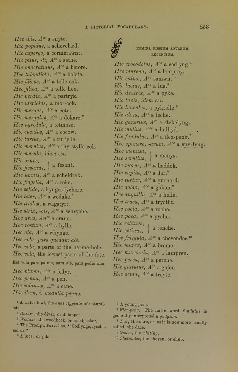 Hec ibis, A“ a snyte. Hie poptdus, a schevelard.^ Hie aspergo, a cormerawnt. Hie pitus, -ti, A“ a sethe. Hie onoeratulus, A‘‘ a betore. Hee talendiola, A'^^ a holste. Hie Jilieus, a telle cok. Hee Jiliea, .4'* a telle hen. Hie perdix, A“ a partryk. Hie uteneius, a naor-cok. Hie mergiis, A‘ a cote. Hie mergulus, A'^ a dokare.* Hee agredula, a tetmose. Hie eiLeulus, A‘ a cocovv. Hie turtur, A‘^‘ a turtylle. Hie meruliis, A“ a thyrstylle-cok. Hie merula, idem est. Hie ornix, ^ Hie ffesanus, | Hie umnis, A‘’‘ a scheldrak. Hie frigella, A‘^ a roke. Hie selido, a kynges fychere. Hie ieter, A‘^‘ a wodake.® Hie tradus, a wagstyrt. Hie strix, -eis, A‘^‘ a schryche. Hoe grus, An'^^ a crane. Hoe rostum, A‘‘ a bylle. Hee ala, A‘^ a whynge. Hee vola, pars quedam ale. Hee vola, a parte of the harme-hole. Hee vola, the lowest parte of the fote. Est vola pars palme, pars ale, para pedis ima. Hee pluma, a fedyr. Hee penna, A‘^ a pen. Hie ealamus, A‘ a cane. Hoe Hum, i. medidla penne. NOMINA PIS8IUM AQUARUM. RECENOIUM. Hie eroeodolus, A‘° a codlyng.^ Hee murena, A‘° a lamprey. Hie salmo, A‘‘ samwn. Hie lueius, A‘^‘ a lus.® Hie denirix, 4.“ a pyke. Hie lupis, idem est. Hie luaeulus, a pykrelle.® Hie alosa, A‘ a leche. Hie ganerius. A” a stekelyng. Hie mullus, a bulhyd. Hie fimdulus, A“ a flex-peng.’ Hee spunere, -arum, A'^‘ a spyrlyng. Hee menusa, ^ Hie serullus, [ ^ Hie morus, a haddok. Hie eapita, 4.°® a dar.® Hie turtur, 4®® a gurnard. Hie gobio, 4®® a gohon.“ Hee anguilla, 4®® a helle. Hee truea, 4®® a tryotht. Hee roeia, 4®® a roche. Hee poea, 4®® a pyche. Hie eehinus, , Hie ectinus, } “ Hee frisgula, 4®® a chevender.^® Hie murex, 4®® a hreme. Hee miorenula, 4®® a lampren. Hee perea, 4®® a perche. Hie guttulus, 4®® a gojon. Hee sepia,, 4®® a troyte. 1 A water-fowl, the anas clypeata of natural- ists. 2 Docare, the diver, or didapper. ® Wodake, the woodhock, or woodpecker. 1 The Prompt. Parv. has, “ Codlynge, fysohe, morus. ® A luce, or pike. ® A young pike. ’’Flcx-pcng. The Latin word fimdulus is generally interpreted a gudgeon. ® Bar, the dare, or, as it is now more usually called, the dace. ® Gabon, the whiting. Chevender, the cheven, or chub.