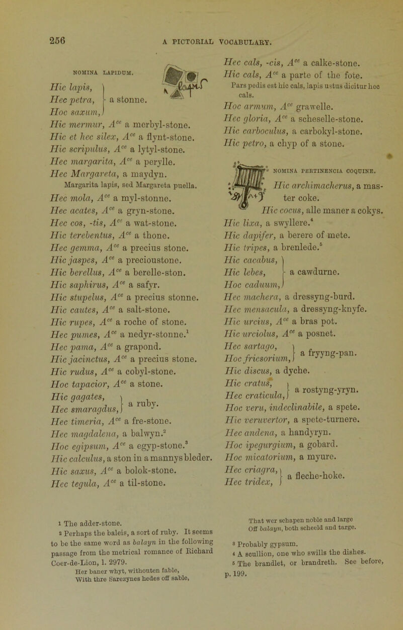 NOMINA LAPIDDM. Ilic lapis, Hec petra, ■ a stomie. Hoc saxiun,. Hie mermur, A“ a morbyl-stone. Hie et hec silex, a flyiit-stoue. Hie scripidus, A“ a lytyl-stone. Hec margarita, A‘‘ a perylle. Hec Margareta, a maydyn. Margarita lapis, sed Margareta puella. Hec molct, A‘^‘ a myl-stonne. Hec acates, ^1“ a gryn-stone. Hec cos, -tis, A“ a wat-stoue. Hie terehentus, A‘‘ a tbone. Hec gemma, A‘‘ a precius stone. Hiejaspes, A‘ a precioustone. Hie berelliis, A‘‘ a berelle-ston. Hie saphirus, /I a safyr. Hie stupelus, a precius stonne. Hie cautes, A“ a salt-stone. Hie rapes, A‘‘ a roche of stone. Hec pumes, A‘ a nedyr-stonne.^ Hec pama, A°^ a grapond. Hie jacinctus, a precius stone. Hie rudus, .4“ a cobyl-stone. Hoc tapacior, .4“ a stone. Hie gagates, ■> Hec smaragdus, | Hec timeria, 4“ a fre-stone. Hec magdalena, a balwyn.'^ Hoc egipsum, 4“® a egyp-stone.° Hie calculus, a ston in a mannysbleder. Hie saxus, 4“ a bolok-stone. Hec tegxda, A‘‘ a til-stone. Hec cals, -cis, A“ a calke-stone. Hie cals, 4 a parte of the fote. Pars pedis eat hie cals, lapis ustus dioitur heo cals. Hoc annum, 4 grawelle. Hec gloria, 4“ a scheselle-stone. Hie carbocnlus, a carbokyl-stone. Hie petro, a cliyp of a stone. NOMINA PEKTINENCIA COQDINE. Hie archimacherus, a mas- ter coke. Hie cocus, alle maner a cokys. Hie lixa, a swyllere.'* Hie dapifer, a berere of mete. Hie tripes, a brenlede.® Hie cacabus, \ Hie lebes, - a cawdurne. Hoc caduum,) Hec machera, a dressyng-burd. Hec mensacida, a dressyng-knyfe. Hie urcius, 4'“ a bras pot. Hie urciolus, 4“ a posnet. Hec sartago, \ Hoc/ricsoriumJ “ Hie discus, a dyche. Hie cratu*, \ mccratkula,] “ Hoc veru, indeclinabile, a spete. Hie veruvertor, a spete-turnere. Hec andena, a handyryn. Hoc ipegurgium, a gobard. Hoc micatorium, a myure. Hec criagra. Hec tridex, a fleche-hoke. 1 The adder-stone. a Perhaps the baleis, a sort of ruby. It seems to be the same word as balayn in the following passage from the metrical romance of lUchard Coer-de-Lion, 1. 2979. Her boner whyt, withonten fable. With tbre Sorezynes hedes off sable. That wer schapen noble and large Off balayn, both scheeld and targe. 8 Probably gypsum. * A scullion, one who swills the dishes, t The brandlet, or brandreth. See before, p. 199.