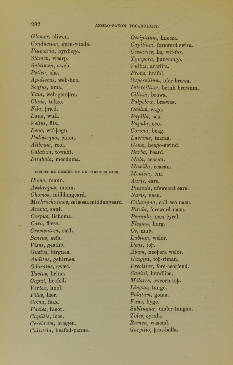 Glomer, cliwen. Occipitium, hnecca. Conductum, gern-winde. Capitiuin, foreword swira. Pluviaria, byrdicge. Cessaries, lae, wif-fex. Stamen, wearp. Tympora, )?unwonge. Suhtimen, aweb. Vultus, anwlita. Petica, sl83. Frons, hnifol. Apidiscus, web-hoc. Supercilium, ofer-bruwa. Scafus, uma. Intercilium, betuh bruwum. Tala, web-gere]?ro. Cilium, bruwa. Claus, teltre. PalpebrcB, braewas. Fila, )?r£Ed. Oculus, eage. Lana, wull. Papilla, seo. Vellus, flia. Papula, seo. Lejio, wif-}>egn. Corona, beag. Pedissequa, jjinen. Lacrime, tearas. Alibrum, reol. Gena, heago-swind. Calatum, toweht. Barba, beard. Insahida, meodoma. Mala, ceacan. Maxilla, ceacan. INCIFII SE UOMINE £T £E PABTIBUS BJUS. Mentem, cin. Homo, marm. Auris, eare. Anthropus, mann. Pinnula, ufeweard eare. Chomos, middangeard. Naris, nasu. Michrochosmos, selsessa middangeard. Columpna, eall seo nasu. Anima, saul. Pirula, foreword nasu. Corpus, lichoma. Pennula, na0s-]jyrel. Caro, flaesc. Flegma, horg. Crementum, saed. Os, mu]j. Sensus, sefa. Labium, welor. Visus, gesih]>. Dens, to)?. Gustus, birgnes. Abum, neo]?era welor. Auditus, gehirnes. Gingifa, to)?-riman. Odoratus, swaec. Precissor, fore-ceorfend. Tactus, hrine. Ganini, hundlice. Caput, heafod. Molares, cweorn-te]?. Vertex, hnol. Lingua, tunge. Pilus, haer. Palatum, goma. Coma, feax. Faus, hyge. Facies, hleor. Sublingua, under-tungan. Capillis, locc. Tales, cyrnla. Cerebrum, braegen. Rumen, wasend. Calvaria, beafod-panue. Gurgilio, prot-bolla.