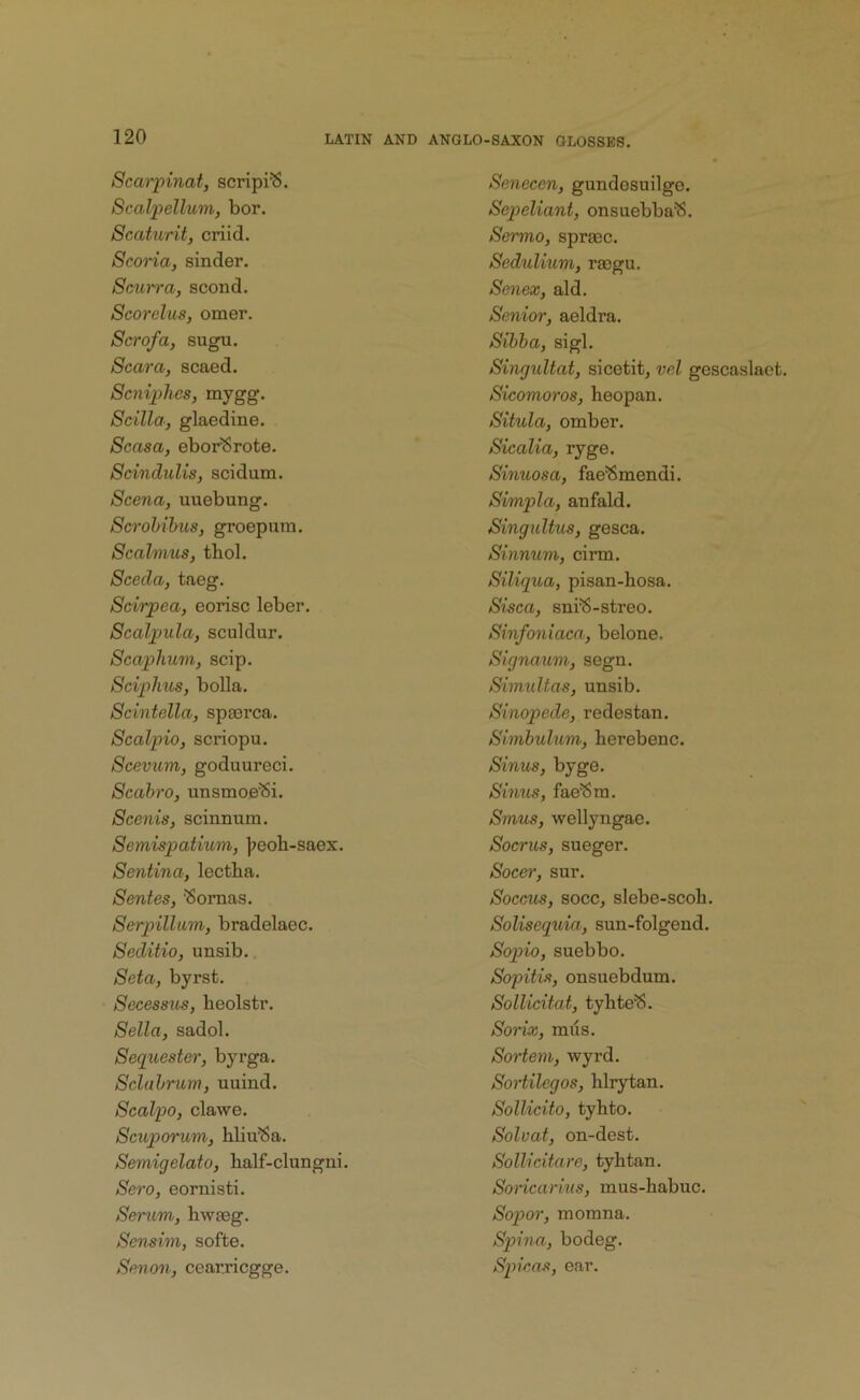 Scai’pinat, scripi^. Scalpellum, bor. Scaturit, criid. Scoria, sinder. Scurra, scond. Scorelus, omer. Scrofa, sugu. Scara, scaed. Scniphcs, mygg. Scilla, glaedine. Scasa, ebor'8rote. Scindulis, scidum. Scena, uuebung. Scrohihus, groepurn. Scalvius, thol. Sceda, taeg. Scirpea, eorisc leber. Scalpula, sculdur. Scaphum, scip. Sciphus, bolla. Scintella, spaarca. Scalpio, scriopu. Scevum, goduureci. Scabro, unsmoe'8i. Scenis, scinnum. Semispatium, ];eob-saex. Sentina, lectba. Sentes, 'Sornas. Serpiillum, bradelaec. Seditio, unsib.. Seta, byrst. Secessus, heolstr. Sella, sadol. Sequester, byrga. Sclahrum, uuind. Scalpo, clawe. Scuporum, hliu'Sa. Semigelato, half-clungni. Sero, eornisti. Serum, hvvasg. Sensim, softe. Senon, cearricgge. Senecen, gundesuilgo. Sepeliant, onsuebba'S. Sermo, spraec. Sedulium, raegu. Senex, aid. Senior, aeldra. Sihha, sigl. Singultat, sicetit, vel gescaslaet. Sicomoros, heopan. Sihila, omber. Sicalia, ryge. Sinuosa, fae'Smendi. Simpla, anfald. Singultus, gesca. Sinnum, cirm. Siliqua, pisan-hosa. Sisca, sni^-streo. Sinfoniaca, belone. Signaum, segn. Simidtas, unsib. Sinopede, redestan. Simbulum, herebenc. Sinus, byge. Sinus, fae^m. Sinus, wellyngae. Socrus, sueger. Socei, sur. Soccus, socc, slebe-scoh. Solisequia, sun-folgend. Sopio, suebbo. Sopitis, onsuebdum. Sollicitat, tybte^. Sorix, mus. Sortem, wyrd. Sortileges, hlrytan. Sollicito, tyhto. Solvat, on-dest. Sollicitare, tyhtan. Soricarius, mus-babuc. Sopor, momna. Spina, bodeg. Spicas, ear.