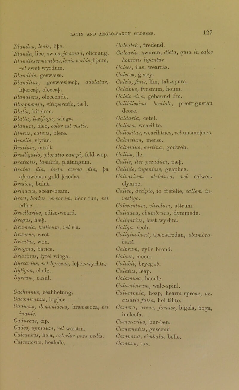 Jjlandus, lenis, lijie. Blancla, li|7e, syvies,jomnda, oliccung. Blandissermonibus, lenis vel swet wyrdum. BJandide, geswasse. Blanditur, gesw£esla3cj7, adolatuv, li|?ei’ca]), olecca]i. Blandiens, oleccende. Blaspheinia, vituperatio, tse'l. Blatis, bitelum. Blatta, lucifuga, wicga. Blauum, bleo, color est vestis. Blums, calvus, blere. Bracile, slyfan. Bratium, mealt. Bradigatio, ploratio campi, feld-wop. Bratcolis, laminis, platungum. Bratea fila, torta aiurea Jila, |?a a))rawenan gold Jiriedas. Bresion, bulufc. Brigacus, scear-beam. Brocl, liortus ceruorum, deor-turij vel edisc. Brocllarins, edisc-weard. Brogus, h£e]i. Brumela, helUcum, vel sla. Brunctis, wrot. Bruntus, won. Bmgma, barice. Brmdnus, lytel wicga. Byrsarius, vel hyrseus, le]?er-wyrhta. Byligon, clade. Bymun, casul. Cacldnnus, ceabbetung. Gacomicanus, logj^or. Gaducus, demoniacus, bi’ascseoca, vel inanis. Gadurcus, cip. Gades, oppid^mn, vel wsestm. Galcaneus, bela, exterior p>nrs ptedis. Galcanosus, bealede. Galcatrix, tredend. Galcaria, swuran^ dicta, quia in calce liovdnis ligantur. Galces, ilas, wearras. Gcdceos, gescy. Galcis, finis, Hm, tab-spura. Galcihus, fyi’snum, bourn. Galcis viva, gebiernd lim. Gallidissime bestiole, pvajttigustan deore. Galdaria, cetel. Gallosa, wearibte. Gallositas, wearibtnes, vel unsmejmes. Galmetum, mersc. Galmuhis, curtina, godweb. Gallus, ile. Gallis, iter pecudum, pae];. Gallide, ingeniose, geaplice. Galvarium, strictura, vel calwer- clympe. Galleo, deciptio, ic frefelie, callem in- vestigo. Galecantum, vitrolum, attrum. Galigans, obumbrans, dymmede. Galigarms, Isest-wyrbta. Galiga, scob. Galiginabant, ajieostredan, obumbra- ba)it. Galbrum, cylle brond. Galsus, meon. Galabit, brycga]?. Galatus, leap. Galamuca, bacule. Galamistmm, walc-spinl. Galumpnia, bosp, bearm-spreac, ac- cusatio falsa, bol-tibte. Gamera, arcus, fornax, bigels, boga, incleofa. Gamerarius, bur-]?en. Gamematus, gescend. Campana, cimhala, belle. Gamnus, tux.