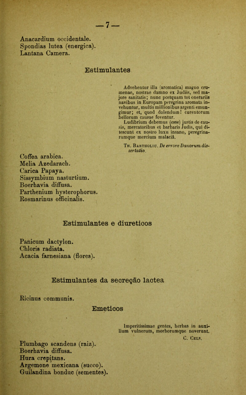 Anacardium occidentale. Spondias lutea (energica). Lantana Camera. Estimulantes Advehentur illa (aromatica) magno cru- menae, nostrae clamno ex Judiis, sed ma- jore sanitatis; nunc postquam totonerariis navibus in Europam peregrina aromata in- vehuntur, multismillionibus argenti emun- gimur; et, quod dolendum! curentorum bellorum causae foventur. Ludibrium debemus (esse) justis de cau- sis, mercatoribus et barbaris Judis, qui di- tescunt ex noslro luxu insano, peregrina- rumque mercium malaciâ. Th. Bartholiu. De errore Danorum dis~ sertatio Coffea arabica. Melia Azedarach. Carica Papaya. Sissymbium nasturtium. Boerhavia difFusa. Parthenium hysterophorus. Rosmarinus officinalis. Estimulantes e díuretieos Panicum dactylon. Chloris radiata. Acacia farnesiana (flores). Estimulantes da secreção lactea Ricinus communis. Eméticos lmperitissimae gentes, herbas in auxi- lium vulnerum, morborumque noverunt. C. Cels. Plumbago scandens (raiz). Boerhavia diffusa. Hora crepitans. Argemone mexicana (sueco). Guilandina bonduc (sementes).