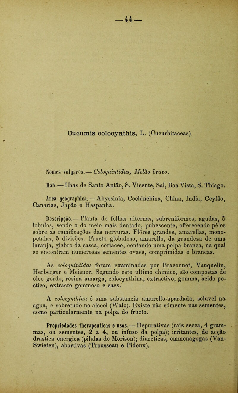 Cuoumis colocynthis, L. (Cucurbitaceas) Nonics vulgares.— Coloquintidas, Melão bravo. Hab.—Ilhas de Santo Antao, S. Vicente, Sal, Boa Vista, S. Thiago. Area geographica.— Abyssinia, Cochinchina, China, índia, Ceylão, Canarias, Japão e Hespanha. Descripção.— Planta de folhas alternas, subreniformes, agudas, 5 lobulos, sendo o do meio mais dentado, pubescente, offerecendo pêlos sobre as ramificações das nervuras. Flores grandes, amai-ellas, mono- petalas, 5 divisões. Frueto globuloso, amarello, da gi’andeza de uma laranja, glabro da casca, coriaceo, contando uma polpa branca, na qual se encontram numerosas sementes ovaes, comprimidas e brancas. As coloquintidas foram examinadas por Braconnot, Vauquelin, Herberger e Meisner. Segundo este ultimo chimico, são compostas de oleo gordo, resina amarga, colocynthina, extractivo, gomma, acido pe- ctico, extracto gommoso e saes. A colocynthina é uma substancia amarello-apardada, solúvel na agua, e sobretudo no álcool (Walz). Existe não sómente nas sementes, como particularmente na polpa do frueto. Propriedades tberapeulicas e usos.— Depurativas (raiz secea, 4 gram- mas, ou sementes, 2 a 4, ou infuso da polpa); irritantes, de acção drastica energica (pilulas de Morison); diuréticas, emmenagogas (Van- Swieten), abortivas (Trousseau e Pidoux).