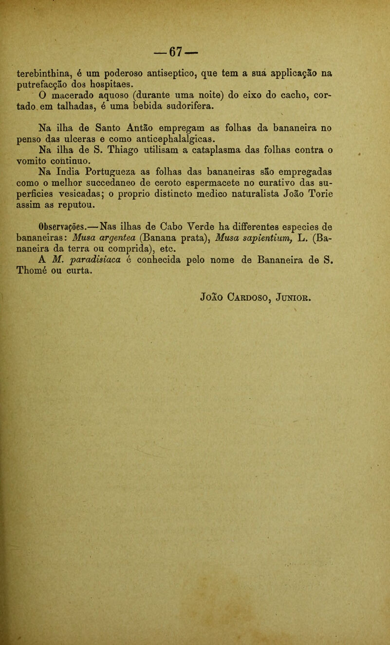 terebinthina, é um poderoso antiséptico, que tem a suá applicação na putrefacção dos hospitaes. O macerado aquoso (durante uma noite) do eixo do cacho, cor- tado, em talhadas, é uma bebida sudorifera. Na ilha de Santo Antão empregam as folhas da bananeira no penso das ulceras e como anticephalalgicas. Na ilha de S. Thiago utilisam a cataplasma das folhas contra o vomito continuo. Na índia Portugueza as folhas das bananeiras são empregadas como 0 melhor succedaneo de ceroto espermacete no curativo das su- perfícies vesicadas; o proprio distincto medico naturalista João Torie assim as reputou. Observações.—Nas ilhas de Cabo Verde ha differentes especies de bananeiras: Musa argentea (Banana prata). Musa sapientium, L. (Ba- naneira da terra ou comprida), etc. A M. paradisíaca é conhecida pelo nome de Bananeira de S. Thomé ou curta.