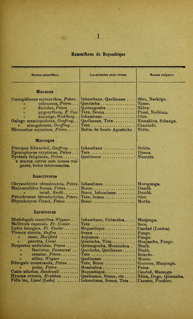 I Maminiferos do Moçambiquo Nomes sclentlflcos Localidadca onde vivem Nomes volgares Macacos Cercopitheciis erytrarchus, Peters.. » ochraceus, Peters.... » flavidus, Peters  pygerytlirus, P. Cuv. » samango, Wahlberg.. Galago crassicaudatus, Geoffroy... » senegalensis, Geoffroy.... Microcebus myoxinus, Peters Morcegos Pteropus Edwardsii, Geoffroy EpomophoruB crypturus, Peters ... Nycteris fuliginosa, Peters e muitos outros sem nomes vnl- gares, todos interessantes. Inhambane, Quelimane ... Querimba Quitangonha Tete, Senna Inhambane Qnelimane, Tete Tete Bahia de Santo Agostinho Inhambane Tete Quelimane Oôro, Nschógo. Njane. Niôve. Pussi, Nschima. Côro. Namahive, Schanga. Canuindó. Ntéte. Gebôa. Djmea. Nantutu. Insectívoros Chrysocbloris obtusirostris, Peters. Macroscelides fuscus, Peters » intufi, Smith Petrodromus tetradactylus, Peters. Rhynchocyon Cirnei, Peters Inhambane Boror Boror, Inhambane Tete, Senna Boror Carnívoros Morogunga. Dnndú. Dundá. Soro. Mutáu. Rhabdogale mustelina, TÉa^^ner... Mellivora capensis, Fr. Cuvier.... Lutra inungnis, Fr. Cuvier Viverra civetta, Buffon » rasse, Horsjield » genetta, Linné Herpestes undulatus, Peters » fasciatns, Desmarest ... » ornatus, Peters » atilax, Wagner Bdeogale crassicauda, Peters » puisa, Peters Canis adustus, Sundevall Hyaena crocuta, Erxleben Felis leo, Linné (Leão) Inhambane, Cabaceira Tete Moçambique Senna Anjoanes Querimba, Tete Quitangonha, Mossimhoa . Querimba, Quelimane Tete Quelimane Tete, Boror Mossimboa Moçambique Quelimane, Senna, etc Inhambane, Senna, Tete ... Munjonga. Sere. Candué (Lontra). Fungo. Fungo. Munjambe, Fungo. Ntulú. Ntulú. Runcóo. Moceo. Goccoco, Munjonga. Puisa. Candué, Macange. Ntica, Dugo, Quisumba. Caramo, Pondóro.