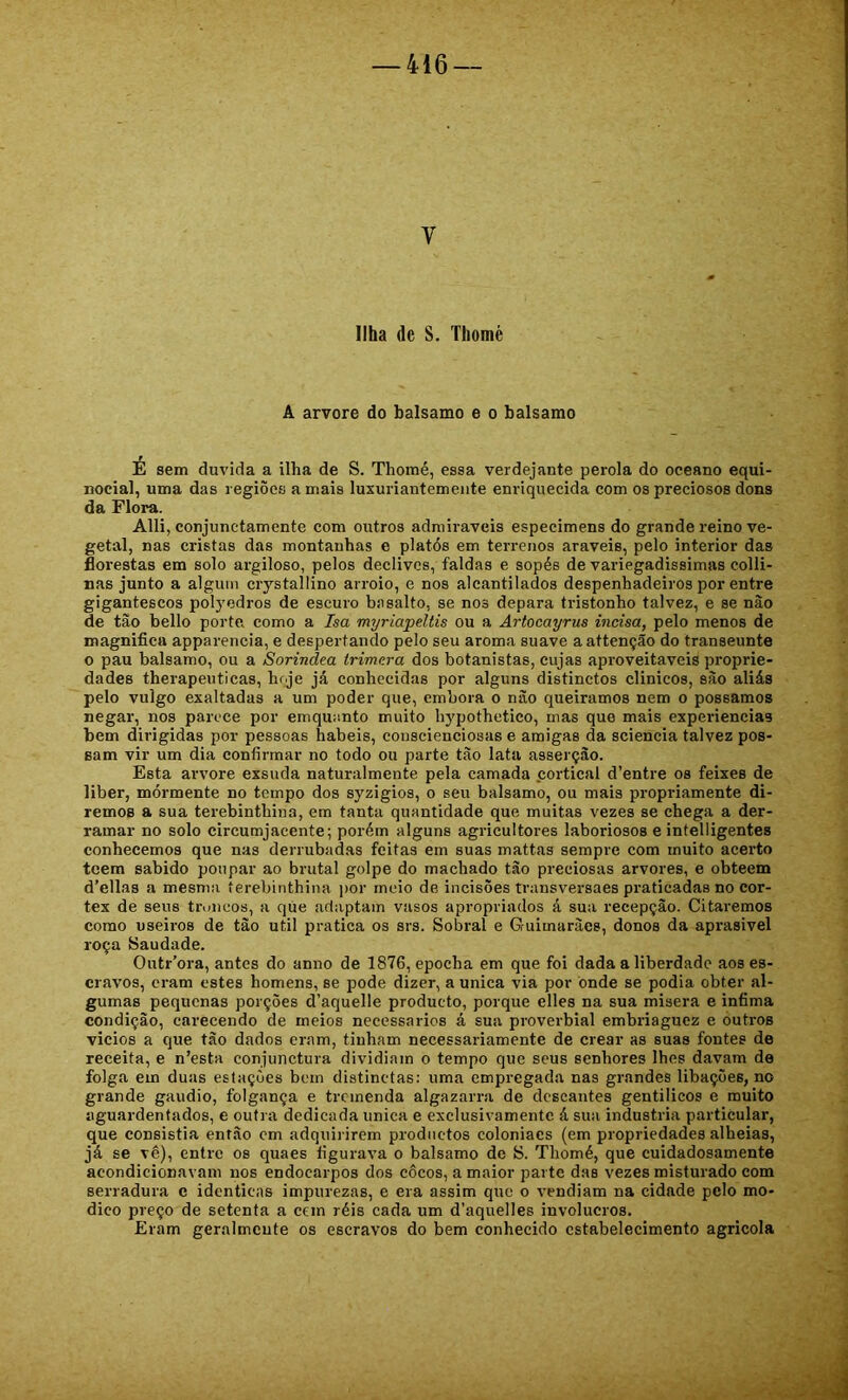 Ilha de S. Thomè A arvore do balsamo e o balsamo E sem duvida a ilha de S. Thomé, essa verdejante pérola do oceano equi- nocial, uma das regiões a mais luxuriantemeiite enriquecida com os preciosos dons da Flora. Alli, conjunctamente com outros admiráveis especimens do grande reino ve- getal, nas cristas das montanhas e platós em terrenos araveis, pelo interior das florestas em solo argiloso, pelos declives, faldas e sopés de variegadissimas colli- nas junto a algum ciystallino arroio, e nos alcantilados despenhadeiros por entre gigantescos polyedros de escuro basalto, se nos depara tristonho talvez, e se nào de tão bello porte, como a Isa myriapeltis ou a Ârtocayrus incisa, pelo menos de magnifica apparencia, e despertando pelo seu aroma suave aattenção do transeunte o pau balsamo, ou a Sorindea trimera dos botanistas, cujas aproveitáveis proprie- dades therapeuticas, hfje já conhecidas por alguns distinctos clinicos, são aliás pelo vulgo exaltadas a um poder que, embora o nào queiramos nem o possamos negar, nos parece por emquanto muito hypothetico, mas que mais experiencias bem dirigidas por pessoas hábeis, conscienciosas e amigas da sciencia talvez pos- sam vir um dia confirmar no todo ou parte tao lata asserção. Esta arvore exsuda naturalmente pela camada cortical d’entre os feixes de liber, mórmente no tempo dos syzigios, o seu balsamo, ou mais propriamente di- remos a sua terebinthina, em tanta quantidade que muitas vezes se chega a der- ramar no solo circumjacente; porém alguns agricultores laboriosos e intelligentes conhecemos que nas derrubadas feitas em suas mattas sempre com muito acerto teem sabido poupar ao brutal golpe do machado tão preciosas arvores, e obteem d’ellas a mesma terebinthina ))or meio de incisões transversaes praticadas no cór- tex de seus tivuicos, a qúe adaptam vasos apropriados á sua recepção. Citaremos como useiros de tão util pratica os srs. Sobral e Gruimarães, donos da aprasivel roça Saudade. Outr’ora, antes do anno de 1876, epocha em que foi dada a liberdade aos es- cravos, eram estes homens, se pode dizer, a unica via por onde se podia obter al- gumas pequenas porções d’aquelle produeto, porque elles na sua misera e infima condição, carecendo de meios necessários á sua proverbial embriaguez e outros vicios a que tão dados eram, tinham necessariamente de crear as suas fontes de receita, e n’esta conjunctura dividiam o tempo que seus senhores lhes davam de folga em duas estações bem distinctas: uma empregada nas grandes libações, no grande gáudio, folgança e tremenda algazarra de descantes gentilicos e muito aguardentados, e outra dedicada unica e exclusivamente á sua industria particular, que consistia então em adquirirem prodiictos coloniacs (em propriedades alheias, já se vê), entre os quaes figurava o balsamo de S. Thomé, que cuidadosamente acondicionavam nos endocarpos dos eôcos, a maior parte d.as vezes misturado com serradura e idênticas impurezas, e era assim que o vendiam na cidade pelo mo- dico preço de setenta a cem réis cada um d’aquelles invólucros. Eram geralmcute os escravos do bem conhecido estabelecimento agricola