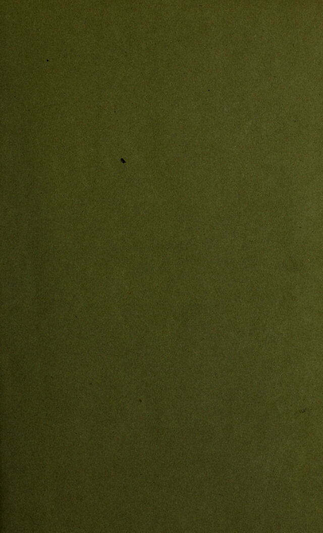 digitised image 3