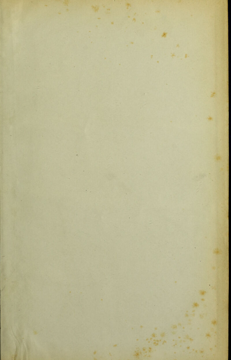 « * 4 m . » » 'A-f '*',K >* i»'^ I. ■< y.' ■ ' . ' >1’ V « ■ * : A 'f . i- : t 1 >. >4 4f ' fm v‘‘ »*■'.'. ' .• > >v ■■ • •► ■T ■. tai- », -t: •.. '^^ -P *. ■ • -St- •- •V:Æ w