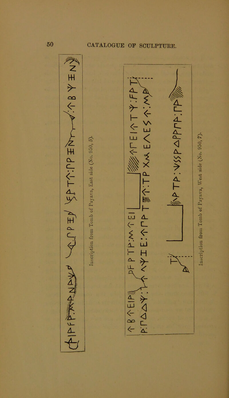 ) Inscription from Tomb of I’ayiiva, tVest side fNo. 950, 7).