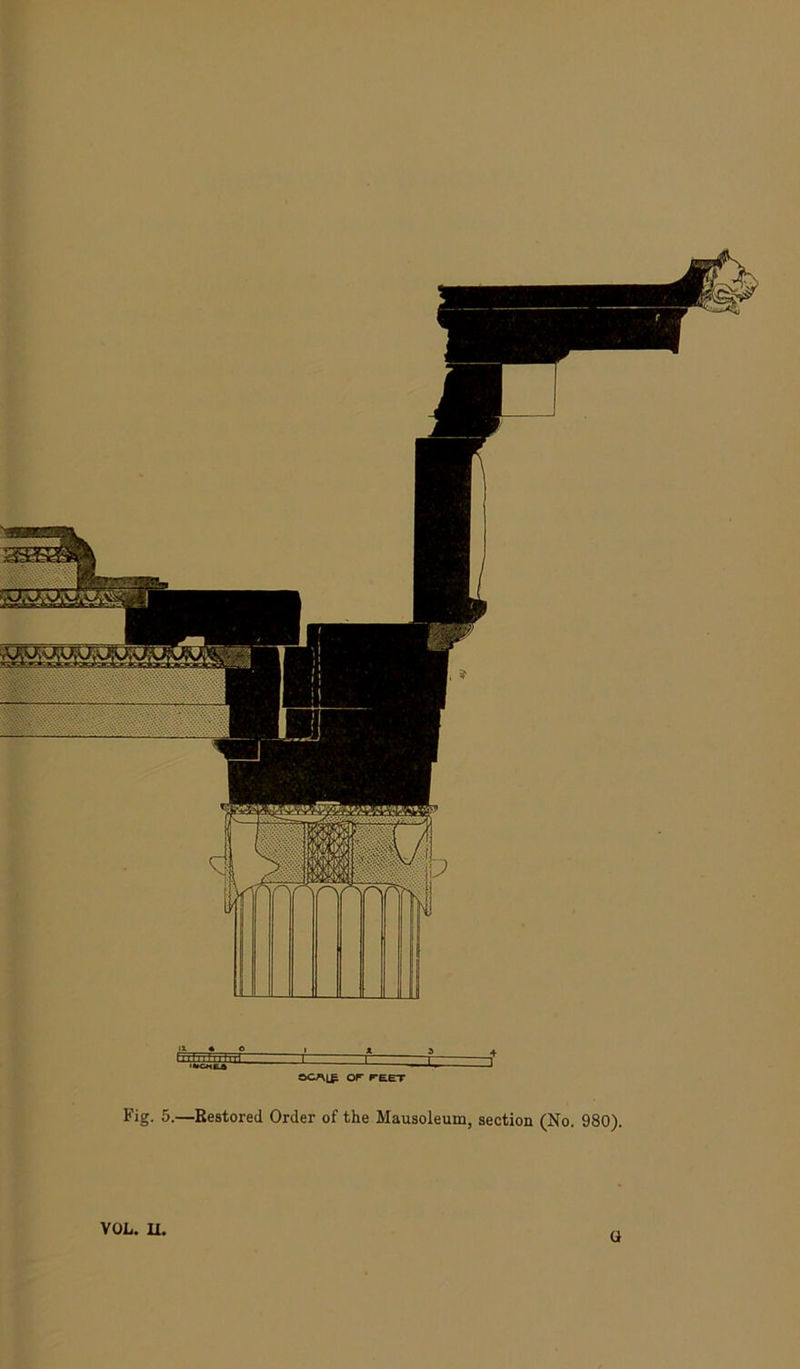 ©CAL^ OF FEET Fig. 5.—Eestored Order of the Mausoleum, section (No. 980). VOL. U. U