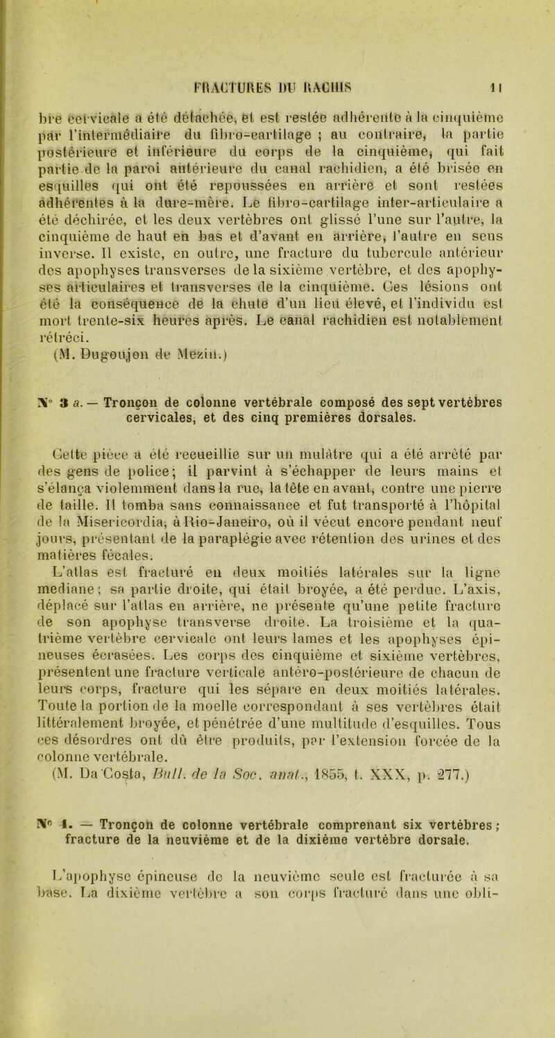 bre cervicale a été détachée, ét est restée adliéreilto à la cinquième ptir l’intermédiaire du fibro-eartilage ; au contraire, la partie postérieure et inférieure du corps de la cinquième, qui fait partie de la paroi antérieure du canal rachidien, a été brisée en esquilles qui ont été repoussées en arrière et sont restées adhérentes à la dure-mère. Le fibro-cartilage inter-articulaire a été déchirée, et les deux vertèbres ont glissé l’une sur l’autre, la cinquième de haut en bas et d’avant en arrière, l’autre en sens inverse. Il existe, en outre, une fracture du tubercule antérieur des apophyses transverses de la sixième vertèbre, et des apophy- ses articulaires et transverses de la cinquième. Ces lésions ont été la conséquence de la chute d’un lieu élevé, et l’individu est mort trente-six heures après. Le canal rachidien est notablement rétréci. (M. Dugoujon de Mézih.) Ri” 3 a. — Tronçon de colonne vertébrale composé des sept vertèbres cervicales, et des cinq premières dorsales. Gette pièce a été recueillie sur un mulâtre qui a été arrêté par des gens de police; il parvint à s’échapper de leurs mains et s’élança violemment dans la rue, la tète en avant, contre une pierre de taille. Il tomba sans connaissance et fut transporté à l’hôpital de la Misericordia, à Ilio-Janeiro, où il vécut encore pondant neuf jours, présentant de la paraplégie avec rétention des urines et des matières fécales. L’atlas est fracturé en deux moitiés latérales sur la ligne médiane; sa partie droite, qui était broyée, a été perdue. L’axis, déplacé sur l’atlas en arrière, ne présente qu’une petite fracture de son apophyse transverse droite. La troisième et la qua- trième vertèbre cervicale ont leurs lames et les apophyses épi- neuses écrasées. Les corps des cinquième et sixième vertèbres, présentent une fracture verticale antéro-postérieure de chacun de leurs corps, fracture qui les sépare en deux moitiés latérales. Toute la portion de la moelle correspondant à ses vertèbres était littéralement broyée, et pénétrée d’une multitude d’esquilles. Tous ces désordres ont dû être produits, par l’extension forcée de la colonne vertébrale. (M. Da Costa, Bull, de la Soc. anal.) 1855, t. XXX, p. 211.) 1. — Tronçon de colonne vertébrale comprenant six vertèbres ; fracture de la neuvième et de la dixième vertèbre dorsale. L’apophyse épineuse de la neuvième seule est fracturée à sa base. La dixième vertèbre a son corps fracturé dans une obli-