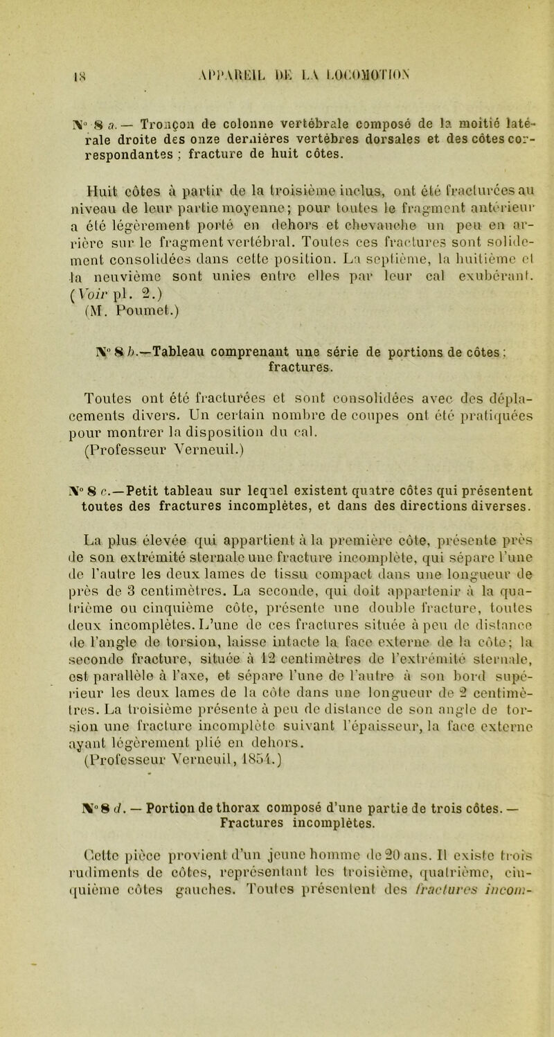 N° 8 a.— Tronçon de colonne vertébrale composé de la moitié laté- rale droite des onze dernières vertèbres dorsales et des côtes cor- respondantes ; fracture de huit côtes. Huit côtes à partir de la troisième inclus, ont été fracturées au niveau de leur partie moyenne; pour toutes le fragment antérieur a été légèrement porté en dehors et chevauche un peu en ar- rière sur le fragment vertébral. Toutes ces fractures sont solide- ment consolidées dans cette position. La septième, la huitième cl la neuvième sont unies entre elles par leur cal exubérant. (Voir pl. 2.) (M. Poumet.) I\ 8è.—Tableau comprenant une série de portions de côtes : fractures. Toutes ont été fracturées et sont consolidées avec des dépla- cements divers. Un certain nombre de coupes ont été pratiquées pour montrer Indisposition du cal. (Professeur Verneuil.) AI0 8 c.—Petit tableau sur lequel existent quatre côtes qui présentent toutes des fractures incomplètes, et dans des directions diverses. La plus élevée qui appartient à la première côte, présente près de son extrémité sternale une fracture incomplète, qui sépare l'une de l’autre les deux lames de tissu compact dans une longueur de près de 3 centimètres. La seconde, qui doit appartenir à la qua- trième ou cinquième côte, présente une double fracture, toutes deux incomplètes. L’une de ces fractures située à peu de distance de l’angle de torsion, laisse intacte la face externe de la côte; la seconde fracture, située à 12 centimètres de l'extrémité sternale, est parallèle à l’axe, et sépare l’une de l’autre à son bord supé- rieur les deux lames de la côte dans une longueur de 2 centimè- tres. La troisième présente à peu de distance de son angle de tor- sion une fracture incomplète suivant l’épaisseur, la face externe ayant légèrement plié en dehors. (Professeur Verneuil, 1854.) N°8 d. — Portion de thorax composé d’une partie de trois côtes. — Fractures incomplètes. Ucttc pièce provient d’un jeune homme de 20 ans. Il existe trois rudiments de côtes, représentant les troisième, quatrième, cin- quième côtes gauches. Toutes présentent des fractures inconi-