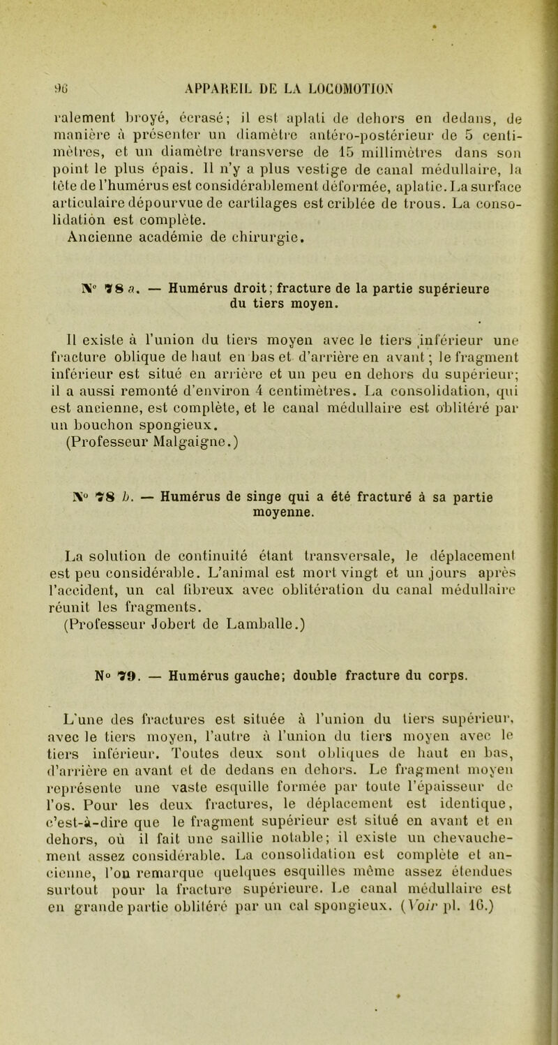 râlement broyé, écrasé; il est aplati de dehors en dedans, de manière à présenter un diamètre antéro-postérieur de 5 centi- mètres, et un diamètre transverse de 15 millimètres dans son point le plus épais. 11 n’y a plus vestige de canal médullaire, la tète de l’humérus est considérablement déformée, aplatie. La surface articulaire dépourvue de cartilages est criblée de trous. La conso- lidation est complète. Ancienne académie de chirurgie. IM0 78 a. — Humérus droit; fracture de la partie supérieure du tiers moyen. 11 existe à l’union du tiers moyen avec le tiers 'inférieur une fracture oblique de haut en bas et d’arrière en avant ; le fragment inférieur est situé en arrière et un peu en dehors du supérieur; il a aussi remonté d’environ 4 centimètres. La consolidation, qui est ancienne, est complète, et le canal médullaire est oblitéré par un bouchon spongieux. (Professeur Malgaigne.) iX° 78 b. — Humérus de singe qui a été fracturé à sa partie moyenne. La solution de continuité étant transversale, le déplacement est peu considérable. L’animal est mort vingt et un jours après l’accident, un cal fibreux avec oblitération du canal médullaire réunit les fragments. (Professeur Jobert de Lamballe.) N° 79. — Humérus gauche; double fracture du corps. L’une des fractures est située à l’union du tiers supérieur, avec le tiers moyen, l’autre à l’union du tiers moyen avec le tiers inférieur. Toutes deux sont obliques de haut en bas, d’arrière en avant et de dedans en dehors. Le fragment moyen représente une vaste esquille formée par toute l’épaisseur de l’os. Pour les deux fractures, le déplacement est identique, c’est-à-dire que le fragment supérieur est situé en avant et en dehors, où il fait une saillie notable; il existe un chevauche- ment assez considérable. La consolidation est complète et an- cienne, l’on remarque quelques esquilles même assez étendues surtout pour la fracture supérieure. Le canal médullaire est en grande partie oblitéré par un cal spongieux. (Vo/rpl. IG.)