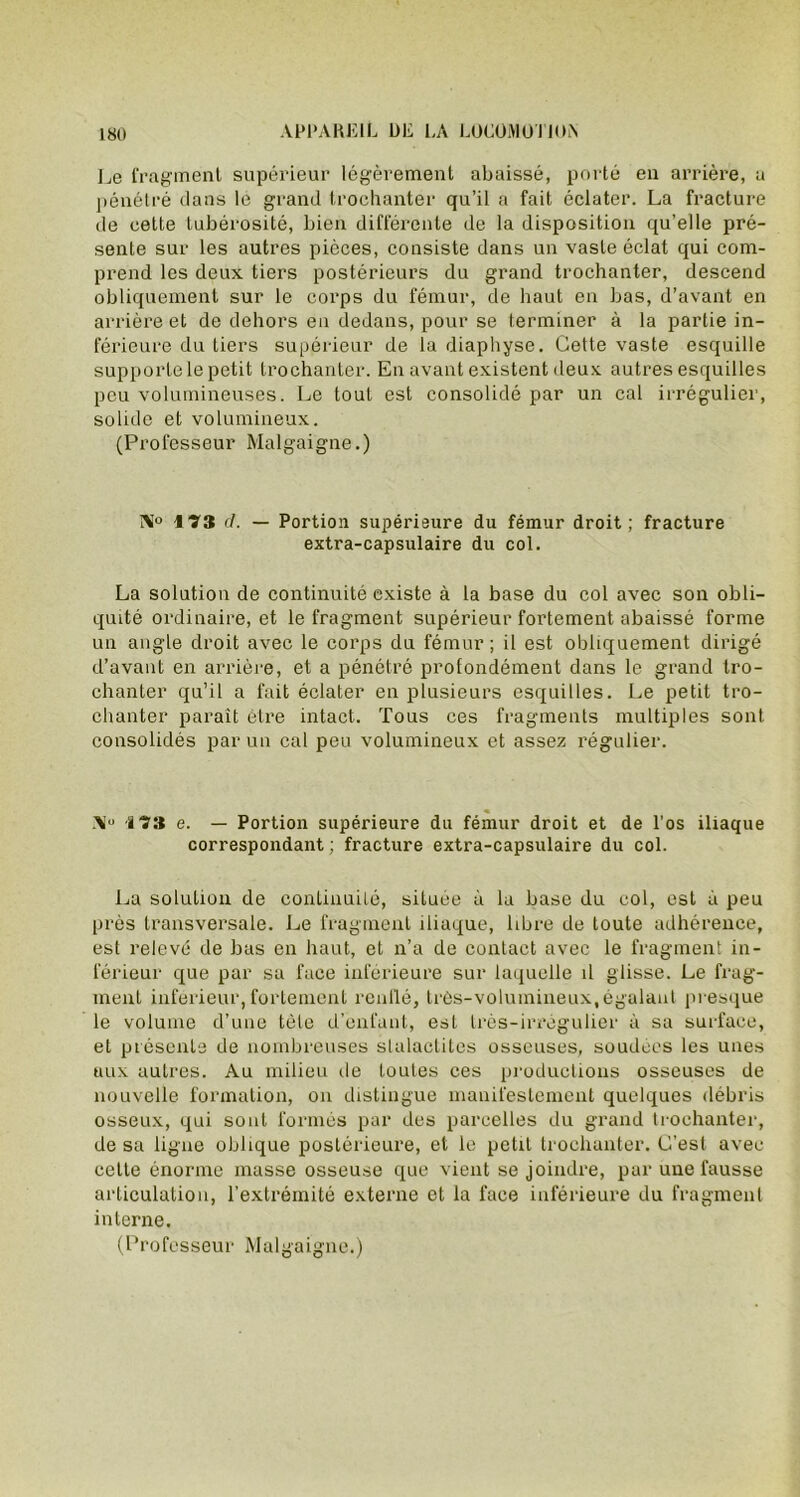 Le fragment supérieur légèrement abaissé, porté en arrière, a pénétré dans le grand trochanter qu’il a fait éclater. La fracture de cette tubérosité, bien différente de la disposition qu’elle pré- sente sur les autres pièces, consiste dans un vaste éclat qui com- prend les deux tiers postérieurs du grand trochanter, descend obliquement sur le corps du fémur, de haut en bas, d’avant en arrière et de dehors en dedans, pour se terminer à la partie in- férieure du tiers supérieur de la diaphyse. Cette vaste esquille supporte le petit trochanter. En avant existent deux autres esquilles peu volumineuses. Le tout est consolidé par un cal irrégulier, solide et volumineux. (Professeur Malgaigne.) î\° 17S d. — Portion supérieure du fémur droit; fracture extra-capsulaire du col. La solution de continuité existe à la base du col avec son obli- quité ordinaire, et le fragment supérieur fortement abaissé forme un angle droit avec le corps du fémur; il est obliquement dirigé d’avant en arrière, et a pénétré profondément dans le grand tro- chanter qu’il a fait éclater en plusieurs esquilles. Le petit tro- chanter parait être intact. Tous ces fragments multiples sont consolidés par un cal peu volumineux et assez régulier. \u -l'y;j e. - Portion supérieure du fémur droit et de l’os iliaque correspondant ; fracture extra-capsulaire du col. La solution de continuité, située à la base du col, est à peu près transversale. Le fragment iliaque, libre de toute adhérence, est relevé de bas en haut, et n’a de contact avec le fragment in- férieur que par sa face inférieure sur laquelle il glisse. Le frag- ment inferieur, fortement renflé, très-volumineux, égalant presque le volume d’une tète d’enfant, est très-irrégulier à sa surface, et présente de nombreuses stalactites osseuses, soudées les unes aux autres. Au milieu de toutes ces productions osseuses de nouvelle formation, on distingue manifestement quelques débris osseux, qui sont formés par des parcelles du grand trochanter, de sa ligne oblique postérieure, et le petit trochanter. C’est avec cette énorme masse osseuse que vient se joindre, par une fausse articulation, l’extrémité externe et la face inférieure du fragment interne. (Professeur Malgaigne.)