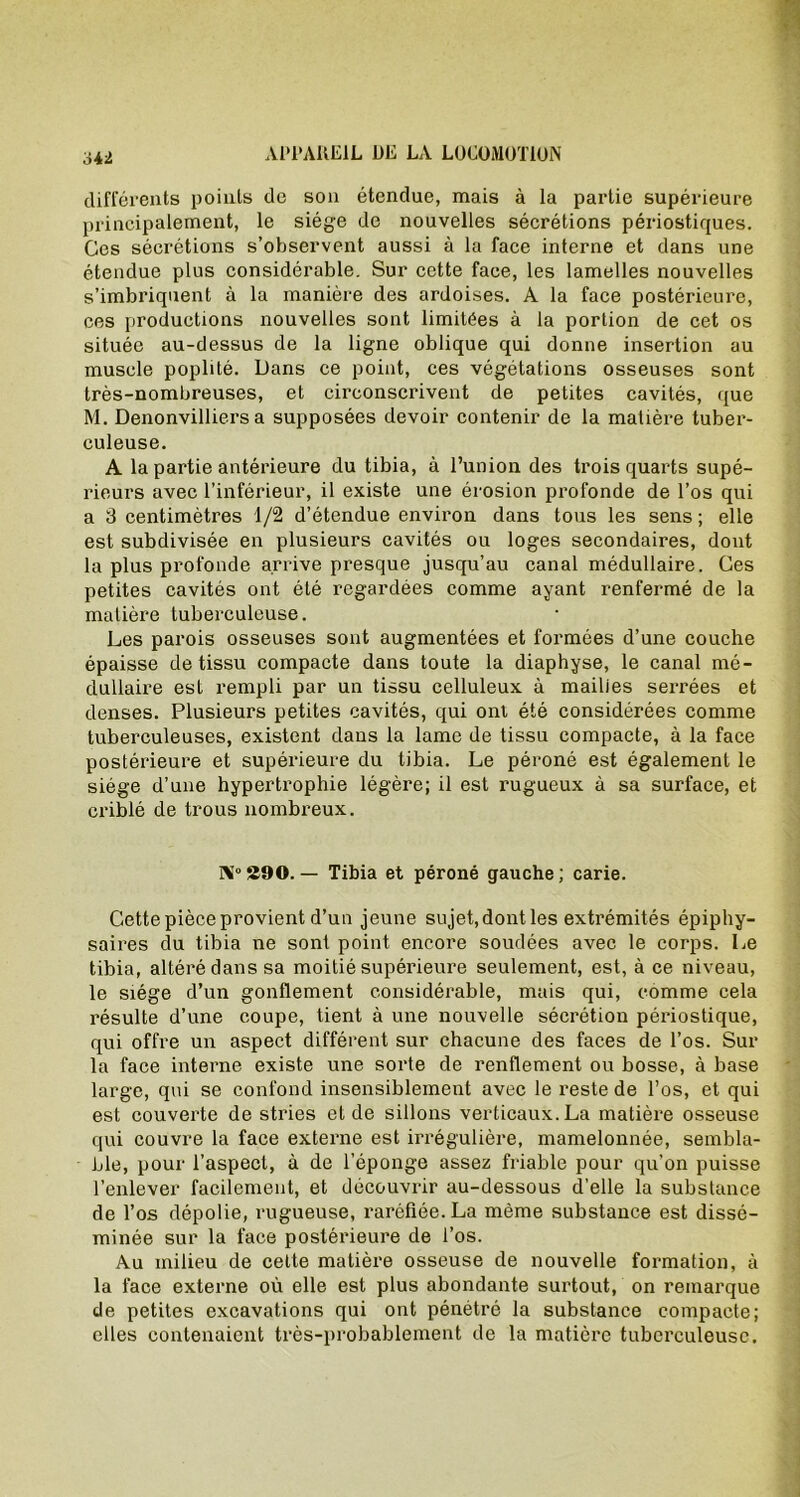 différents points de son étendue, mais à la partie supérieure principalement, le siège de nouvelles sécrétions périostiques. Ces sécrétions s’observent aussi à la face interne et dans une étendue plus considérable. Sur cette face, les lamelles nouvelles s’imbriquent à la manière des ardoises. A la face postérieure, ces productions nouvelles sont limitées à la portion de cet os située au-dessus de la ligne oblique qui donne insertion au muscle poplité. Dans ce point, ces végétations osseuses sont très-nombreuses, et circonscrivent de petites cavités, que M. Denonvilliers a supposées devoir contenir de la matière tuber- culeuse. A la partie antérieure du tibia, à l’union des trois quarts supé- rieurs avec l’inférieur, il existe une érosion profonde de l’os qui a 3 centimètres 1/2 d’étendue environ dans tous les sens; elle est subdivisée en plusieurs cavités ou loges secondaires, dont la plus profonde arrive presque jusqu’au canal médullaire. Ces petites cavités ont été regardées comme ayant renfermé de la matière tuberculeuse. Les parois osseuses sont augmentées et formées d’une couche épaisse de tissu compacte dans toute la diaphyse, le canal mé- dullaire est rempli par un tissu celluleux à mailles serrées et denses. Plusieurs petites cavités, qui ont été considérées comme tuberculeuses, existent dans la lame de tissu compacte, à la face postérieure et supérieure du tibia. Le péroné est également le siège d’une hypertrophie légère; il est rugueux à sa surface, et criblé de trous nombreux. Ni0 290. — Tibia et péroné gauche ; carie. Cette pièce provient d’un jeune sujet, dont les extrémités épiphy- saires du tibia ne sont point encore soudées avec le corps. Le tibia, altéré dans sa moitié supérieure seulement, est, à ce niveau, le siège d’un gonflement considérable, mais qui, comme cela résulte d’une coupe, tient à une nouvelle sécrétion périostique, qui offre un aspect différent sur chacune des faces de l’os. Sur la face interne existe une sorte de renflement ou bosse, à base large, qui se confond insensiblement avec le reste de l’os, et qui est couverte de stries et de sillons verticaux. La matière osseuse qui couvre la face externe est irrégulière, mamelonnée, sembla- ble, pour l’aspect, à de l’éponge assez friable pour qu’on puisse l’enlever facilement, et découvrir au-dessous d'elle la substance de l’os dépolie, rugueuse, raréfiée. La même substance est dissé- minée sur la face postérieure de l’os. Au milieu de cette matière osseuse de nouvelle formation, à la face externe où elle est plus abondante surtout, on remarque de petites excavations qui ont pénétré la substance compacte; elles contenaient très-probablement de la matière tuberculeuse.