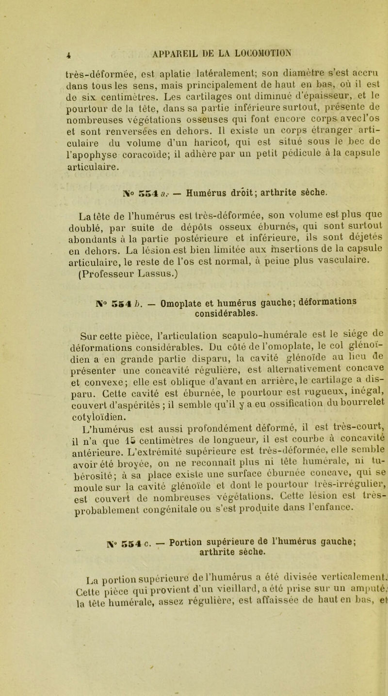 très-déformée, est aplatie latéralement; son diamètre s’est accru dans tous les sens, mais principalement de haut en bas, où il est do six centimètres. Les cartilages ont diminué d’épaisseur, et le pourtour de la tète, dans sa partie inférieure surtout, présente de nombreuses végétations osseuses qui font encore corps avecl’os et sont renversées en dehors. Il existe un corps étranger arti- culaire du volume d’un haricot, qui est situé sous le bec de l’apophyse coracoïde; il adhère par un petit pédicule à la capsule articulaire. N° 554 a.- — Humérus droit; arthrite sèche. La tête de l’humérus est très-déformée, son volume est plus que doublé, par suite de dépôts osseux éburnés, qui sont surtout abondants à la partie postérieure et inférieure, ils sont déjetés en dehors. La lésion est bien limitée aux insertions de la capsule articulaire, le reste de l’os est normal, à peine plus vasculaire. (Professeur Lassus.) N° 554 b. — Omoplate et humérus gauche; déformations considérables. Sur cette pièce, l’articulation scapulo-humérale est le siège de déformations considérables. Du côté de l’omoplate, le col glénoi- dien a en grande partie disparu, la cavité glénoïde au lieu de présenter une concavité régulière, est alternativement concave et convexe; elle est oblique d’avant en arrière,le cartilage a dis- paru. Cette cavité est éburnée, le pourtour est rugueux, inégal, couvert d’aspérités ; il semble qu’il y a eu ossification du bourrelet cotyloïdien. L’humérus est aussi profondément déformé, il est très-court, il n’a que 15 centimètres de longueur, il est courbe à concavité antérieure. L’extrémité supérieure est très-déformée, elle semble avoir été broyée, on ne reconnaît plus ni tête humérale, ni tu- bérosité; à sa place existe une surface éburnée concave, qui se moule sur la cavité glénoïde et dont le pourtour Irès-irrégulier, est couvert de nombreuses végétations. Cette lésion est très- probablement congénitale ou s’est produite dans l’enfance. N° 554 c. — Portion supérieure de l’humérus gauche; arthrite sèche. La portion supérieure de l’humérus a été divisée verticalement. Cette pièce qui provient d’un vieillard, a été prise sur un amputé,1 la tète humérale, assez régulière, est affaissée de haut en bas, et