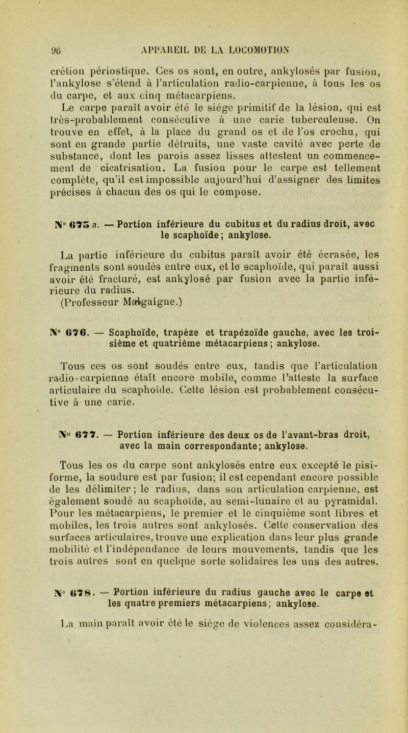crétion périostique. Ces os sont, en outre, ankylosés par fusion, l’ankylose s’étend à l’articulation radio-carpienne, à tous les os du carpe, et aux cinq métacarpiens. Le carpe paraît avoir été le siège primitif de la lésion, qui est très-probablement consécutive à une carie tuberculeuse. On trouve en effet, à la place du grand os et de l’os crochu, qui sont en grande partie détruits, une vaste cavité avec perte de substance, dont les parois assez lisses attestent un commence- ment de cicatrisation. La fusion pour le carpe est tellement complète, qu’il est impossible aujourd’hui d’assigner des limites précises à chacun des os qui le compose. I\T° 675 a. — Portion inférieure du cubitus et du radius droit, avec le scaphoïde; ankylosé. La partie inférieure du cubitus paraît avoir été écrasée, les fragments sont soudés entre eux, et le scaphoïde, qui paraît aussi avoir été fracturé, est ankylosé par fusion avec la partie infé- rieure du radius. (Professeur Marlgaigne.) 676. — Scaphoïde, trapèze et trapézoïde gauche, avec les troi- sième et quatrième métacarpiens; ankylosé. Tous ces os sont soudés entre eux, tandis que l’articulation radio-carpienne était encore mobile, comme l’atteste la surface articulaire du scaphoïde. Cette lésion est probablement consécu- tive à une carie. N° 677. — Portion inférieure des deux os de l’avant-bras droit, avec la main correspondante; ankylosé. Tous les os du carpe sont ankylosés entre eux excepté le pisi- forme, la soudure est par fusion; il est cependant encore possible de les délimiter ; le radius, dans son articulation carpienne, est également soudé au scaphoïde, au semi-lunaire et au pyramidal. Pour les métacarpiens, le premier et le cinquième sont libres et mobiles, les trois autres sont ankylosés. Cette conservation des surfaces articulaires, trouve une explication dans leur plus grande mobilité et l’indépendance de leurs mouvements, tandis que les trois autres sont en quelque sorte solidaires les uns des autres. 678. — Portion inférieure du radius gauche avec le carpe et les quatre premiers métacarpiens; ankylosé. La main paraît avoir été le siège de violences assez considéra-