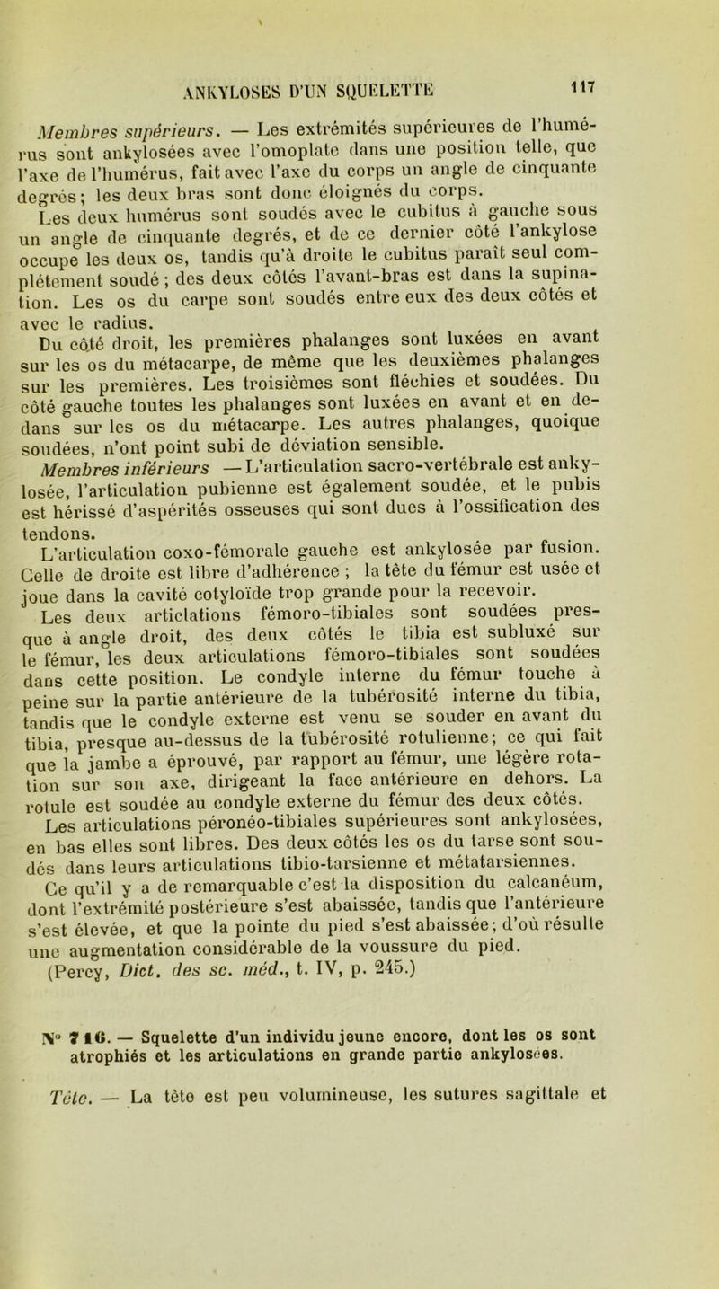 Membres supérieurs. — Les extrémités supérieures de l’humé- rus sont ankylosées avec l’omoplate dans une position telle, que l’axe de l’humérus, fait avec l’axe du corps un angle de cinquante degrés; les deux bras sont donc éloignés du corps. Les deux humérus sont soudés avec le cubitus a gauche sous un angle de cinquante degrés, et de ce dernier côté 1 ankylosé occupe les deux os, tandis qu’à droite le cubitus paraît seul com- plètement soudé ; des deux côtés 1 avant-bras est dans la supina- tion. Les os du carpe sont soudés entre eux des deux côtés et avec le radius. Du cô.té droit, les premières phalanges sont luxées en avant sur les os du métacarpe, de même que les deuxièmes phalanges sur les premières. Les troisièmes sont fléchies et soudées. Du côté gauche toutes les phalanges sont luxées en avant et en de- dans sur les os du métacarpe. Les autres phalanges, quoique soudées, n’ont point subi de déviation sensible. Membres inférieurs — L’articulation sacro-vertébrale est anky- losée, l’articulation pubienne est également soudée, et le pubis est hérissé d’aspérités osseuses qui sont dues à l’ossification des tendons. . L'articulation coxo-fémorale gauche est ankylosée par fusion. Celle de droite est libre d’adhérence ; la tète du fémur est usée et joue dans la cavité cotyloïde trop grande pour la recevoir. Les deux articlations fémoro-tibiales sont soudées pres- que à angle droit, des deux cotes le tibia est subluxé sui le fémur,les deux articulations fémoro-tibiales sont soudées dans cette position. Le condyle interne du fémur touche à peine sur la partie antérieure de la tubérosité interne du tibia, tandis que le condyle externe est venu se souder en avant du tibia, presque au-dessus de la tubérosité rotulienne; ce qui fait que la jambe a éprouvé, par rapport au fémur, une légère rota- tion sur son axe, dirigeant la face antérieure en dehors. La rotule est soudée au condyle externe du fémur des deux côtés. Les articulations péronéo-tibiales supérieures sont ankylosées, en bas elles sont libres. Des deux côtés les os du tarse sont sou- dés dans leurs articulations tibio-tarsienne et métatarsiennes. Ce qu’il y a de remarquable c’est la disposition du calcanéum, dont l’extrémité postérieure s’est abaissée, tandis que l’antérieure s’est élevée, et que la pointe du pied s’est abaissée; d’où résulte une augmentation considérable de la voussure du pied. (Percy, Dict. des sc. méd., t. IV, p. 245.) Ni» ï 16. — Squelette d’un individu jeune encore, dont les os sont atrophiés et les articulations en grande partie ankylosées. Pèle. — La tète est peu volumineuse, les sutures sagittale et