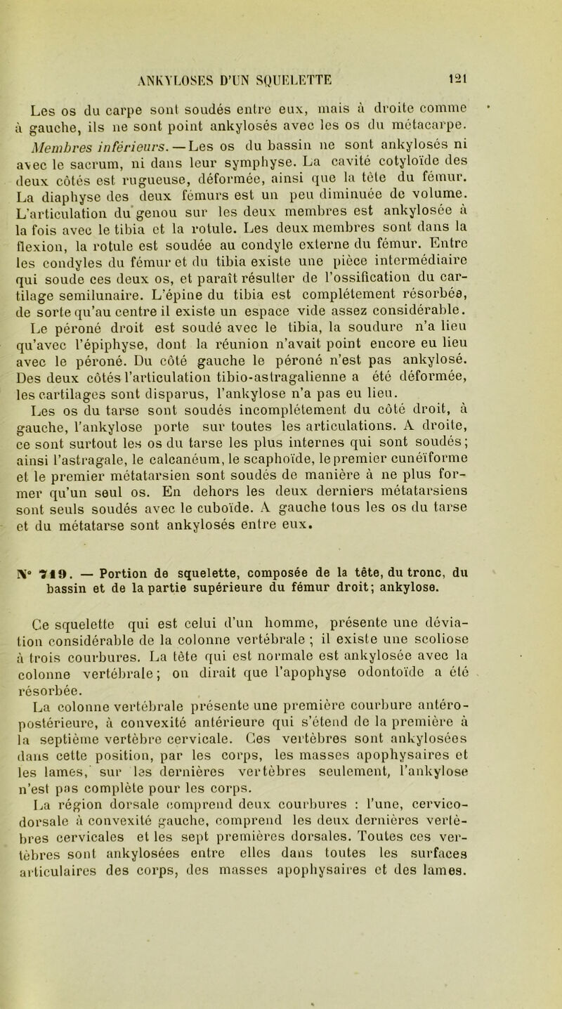 Les os du carpe sont soudés entre eux, mais à droite comme à gauche, ils ne sont point ankylosés avec les os du métacarpe. Membres inférieurs. — Les os du bassin ne sont ankylosés ni avec le sacrum, ni dans leur symphyse. La cavité cotyloïde des deux côtés est rugueuse, déformée, ainsi que la tète du fémur. La diaphyse des deux fémurs est un peu diminuée de volume. L’articulation du genou sur les deux membres est ankylosée à la fois avec le tibia et la rotule. Les deux membres sont dans la flexion, la rotule est soudée au condyle externe du fémur. Entre les condyles du fémur et du tibia existe une pièce intermédiaire qui soude ces deux os, et paraît résulter de l’ossification du car- tilage semilunaire. L’épine du tibia est complètement résorbée, de sorte qu’au centre il existe un espace vide assez considérable. Le péroné droit est soudé avec le tibia, la soudure n’a lieu qu’avec l’épiphyse, dont la réunion n’avait point encore eu lieu avec le péroné. Du côté gauche le péroné n’est pas ankylosé. Des deux côtés l’articulation tibio-astragalienne a été déformée, les cartilages sont disparus, l’ankylose n’a pas eu lieu. Les os du tarse sont soudés incomplètement du côté droit, à gauche, l’ankylose porte sur toutes les articulations. A droite, ce sont surtout les os du tarse les plus internes qui sont soudés; ainsi l’astragale, le calcanéum, le scaphoïde, le premier cunéiforme et le premier métatarsien sont soudés de manière à ne plus for- mer qu’un seul os. En dehors les deux derniers métatarsiens sont seuls soudés avec le cuboïde. A gauche tous les os du tarse et du métatarse sont ankylosés entre eux. IV 7i9. — Portion de squelette, composée de la tête, du tronc, du bassin et de la partie supérieure du fémur droit; ankylosé. Ce squelette qui est celui d’un homme, présente une dévia- tion considérable de la colonne vertébrale ; il existe une scoliose à trois courbures. La tète qui est normale est ankylosée avec la colonne vertébrale ; on dirait que l’apophyse odontoïde a été résorbée. La colonne vertébrale présente une première courbure antéro- postérieure, à convexité antérieure qui s’étend de la première à la septième vertèbre cervicale. Ces vertèbres sont ankylosées dans cette position, par les corps, les masses apophysaires et les lames, sur les dernières vertèbres seulement, l’ankylose n’est pas complète pour les corps. La région dorsale comprend deux courbures : l’une, cervico- dorsale à convexité gauche, comprend les deux dernières verlè- bres cervicales et les sept premières dorsales. Toutes ces ver- tèbres sont ankylosées entre elles dans toutes les surfaces articulaires des corps, des masses apophysaires et des lames.