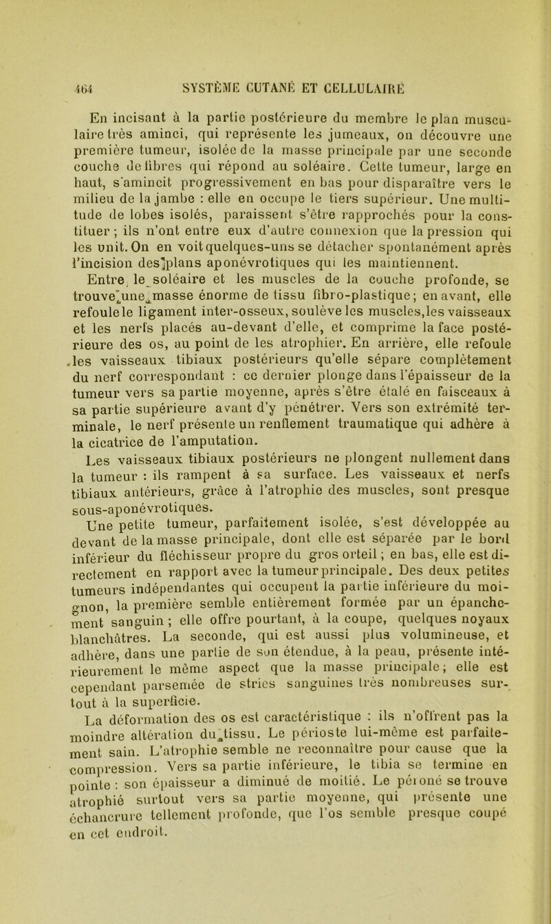 En incisant à la partie postérieure du membre le plan muscu- laire très aminci, qui représente les jumeaux, on découvre une première tumeur, isolée de la masse principale par une seconde couche de libres qui répond au soléaire. Cette tumeur, large en haut, s'amincit progressivement en bas pour disparaître vers le milieu de la jambe : elle en occupe le tiers supérieur. Une multi- tude de lobes isolés, paraissent s’ètre rapprochés pour la cons- tituer ; ils n’ont entre eux d’autre connexion que la pression qui les unit. On en voit quelques-uns se détacher spontanément après l’incision desjplans aponévrotiques qui les maintiennent. Entre le soléaire et les muscles de la couche profonde, se trouve’une^masse énorme de tissu libro-plastique ; en avant, elle refoulele ligament inter-osseux, soulève les muscles,les vaisseaux et les nerfs placés au-devant d’elle, et comprime la face posté- rieure des os, au point de les atrophier. En arrière, elle refoule .les vaisseaux tibiaux postérieurs qu’elle sépare complètement du nerf correspondant : ce dernier plonge dans l’épaisseur de la tumeur vers sa partie moyenne, après s’ètre étalé en faisceaux à sa partie supérieure avant d’y pénétrer. Vers son extrémité ter- minale, le nerf présente un renflement traumatique qui adhère à la cicatrice de l’amputation. Les vaisseaux tibiaux postérieurs ne plongent nullement dans la tumeur : ils rampent à sa surface. Les vaisseaux et nerfs tibiaux antérieurs, grâce à l’atrophie des muscles, sont presque sous-aponévrotiques. Une petite tumeur, parfaitement isolée, s’est développée au devant de la masse principale, dont elle est séparée par le bord inférieur du fléchisseur propre du gros orteil ; en bas, elle est di- rectement en rapport avec la tumeur principale. Des deux petites tumeurs indépendantes qui occupent la partie inférieure du moi- gnon la première semble entièrement formée par un épanche- ment sanguin; elle offre pourtant, à la coupe, quelques noyaux blanchâtres. La seconde, qui est aussi plus volumineuse, et adhère, dans une partie de son étendue, à la peau, présente inté- rieurement le même aspect que la masse principale; elle est cependant parsemée de stries sanguines très nombreuses sur- tout à la superficie. La déformation des os est caractéristique : ils n’offrent pas la moindre altération dujissu. Le périoste lui-même est parfaite- ment sain. L’atrophie semble ne reconnaître pour cause que la compression. Vers sa partie inférieure, le tibia se termine en pointe : son épaisseur a diminué de moitié. Le péioné se trouve atrophié surtout vers sa partie moyenne, qui présente une échancrure tellement profonde, que l’os semble presque coupé en cet endroit.