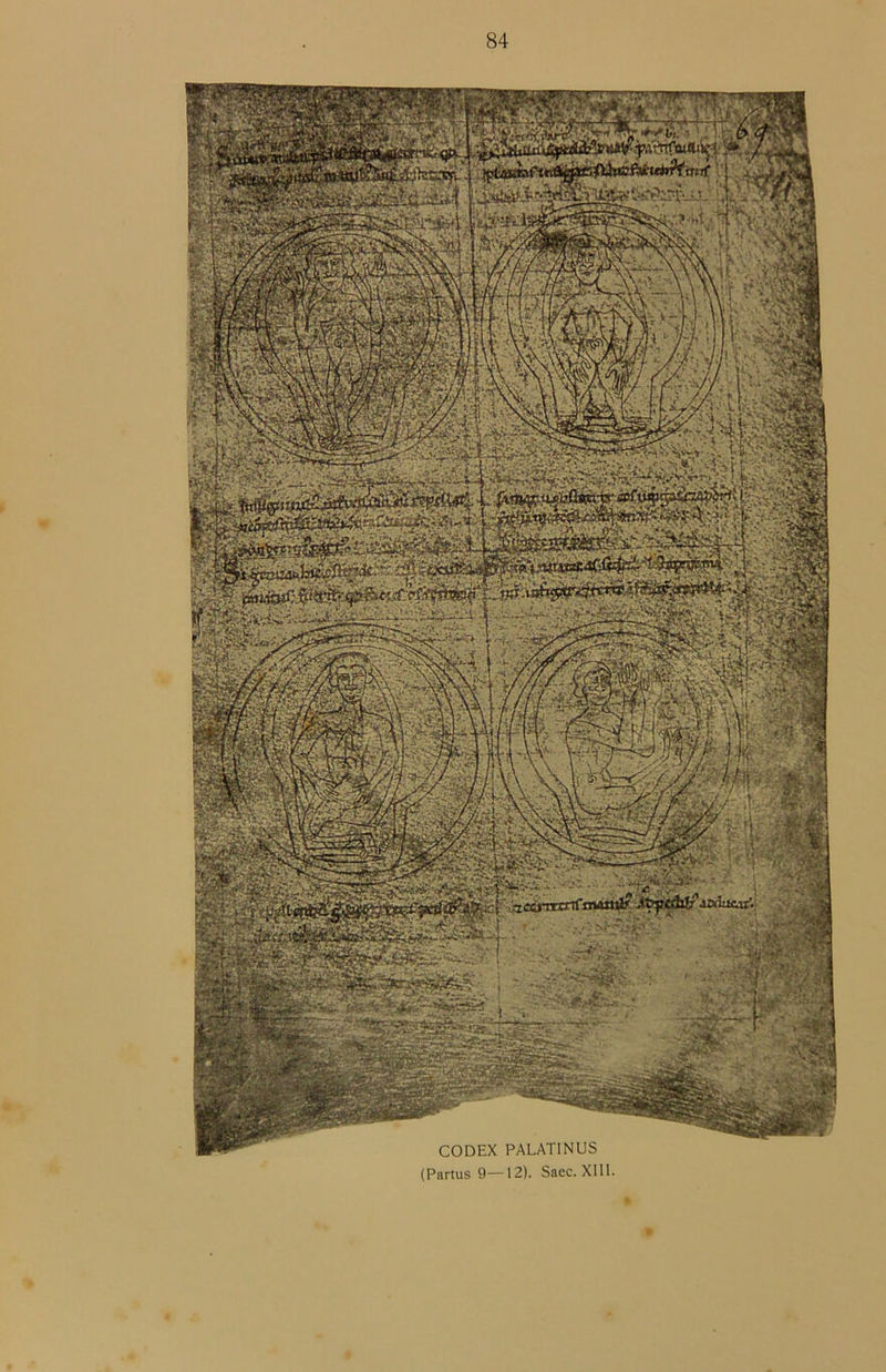 CODEX PALATINUS (Partus 9—12). Saec. XllI
