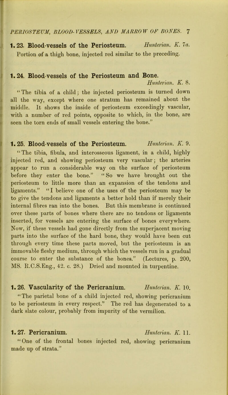 1. 23. Blood-vessels of the Periosteum. Hunterian. K. la. Portion of a thigh bone, injected red similar to the preceding. 1.24. Blood-vessels of the Periosteum and Bone. Hunterian. K. 8. “The tibia of a child; the injected periosteum is turned down all the way, except where one stratum has remained about the middle. It shows the inside of periosteum exceedingly vascular, with a number of red points, opposite to which, in the bone, are seen the torn ends of small vessels entering the bone.” 1.25. Blood-vessels of the Periosteum. Hunterian. K. 9. “The tibia, fibula, and interosseous ligament, in a child, highly injected red, and showing periosteum very vascular; the arteries appear to run a considerable way on the surface of periosteum before they enter the bone.” “So we have brought out the periosteum to little more than an expansion of the tendons and ligaments.” “ I believe one of the uses of the periosteum may be to give the tendons and ligaments a better hold than if merely their internal fibres ran into the bones. But this membrane is continued over these parts of bones where there are no tendons or ligaments inserted, for vessels are entering the surface of bones everywhere. Now, if these vessels had gone directly from the superjacent moving parts into the surface of the hard bone, they would have been cut through every time these parts moved, but the periosteum is an immovable fleshy medium, through which the vessels run in a gradual course to enter the substance of the bones.” (Lectures, p. 200, MS. R.C.S.Eng., 42. c. 28.) Dried and mounted in turpentine. 1.26. Vascularity of the Pericranium. Hunterian. K. 10. “The parietal bone of a child injected red, showing pericranium to be periosteum in every respect.” The red has degenerated to a dark slate colour, probably from impurity of the vermilion. 1.27. Pericranium. Hunterian. K. 11. “ One of the frontal bones injected red, showing pericranium made up of strata.”