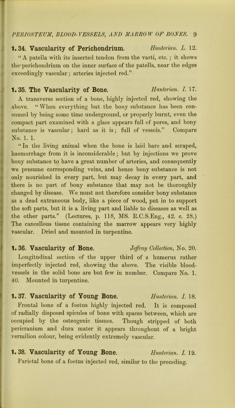 1.34. Vascularity of Perichondrium. Hunterian. L. 12. “ A patella with its inserted tendon from the vasti, etc.; it shows the'perichondrium on the inner surface of the patella, near the edges exceedingly vascular; arteries injected red.” 1.35. The Vascularity of Bone. Hunterian. I. 17. A transverse section of a bone, highly injected red, showing the above. “ When everything but the bony substance has been con- sumed by being some time underground, or properly burnt, even the compact part examined with a glass appears full of pores, and bony substance is vascular; hard as it is; full of vessels.” Compare No. 1. 1. “ In the living animal when the bone is laid bare and scraped, haemorrhage from it is inconsiderable; but by injections we prove bony substance to have a great number of arteries, and consequently we presume corresponding veins, and hence bony substance is not only nourished in every part, but may decay in every part, and there is no part of bony substance that may not be thoroughly changed by disease. We must not therefore consider bony substance as a dead extraneous body, like a piece of wood, put in to support the soft parts, but it is a living part and liable to diseases as well as the other parts.” (Lectures, p. 118, MS. RC.S.Eng., 42. c. 28.) The cancellous tissue containing the marrow appears very highly vascular. Dried and mounted in turpentine. 1.36. Vascularity of Bone. Jeffray Collection, No. 20. Longitudinal section of the upper third of a humerus rather imperfectly injected red, showing the above. The visible blood- vessels in the solid bone are but few in number. Compare No. 1. 40. Mounted in turpentine. 1.37. Vascularity of Young Bone. Hunterian. I. 18. Frontal bone of a foetus highly injected red. It is composed of radially disposed spicules of bone with spaces between, which are occupied by the osteogenic tissues. Though stripped of both pericranium and dura mater it appears throughout of a bright vermilion colour, being evidently extremely vascular. 1.38. Vascularity of Young Bone. Hunterian. I. 19. Parietal bone of a foetus injected red, similar to the preceding.