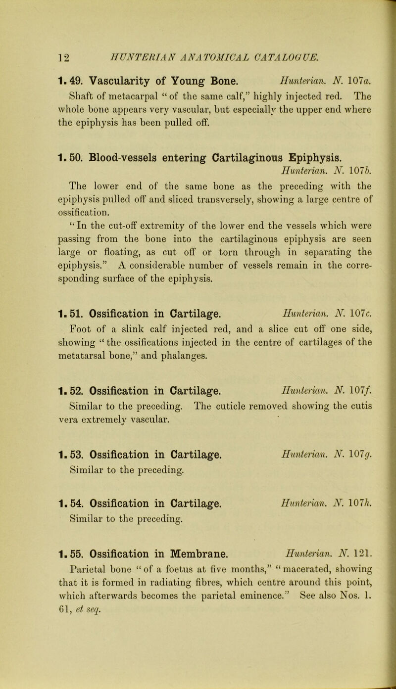 1.49. Vascularity of Young Bone. Hunterian. N. 107a. Shaft of metacarpal “of the same calf,” highly injected red. The whole bone appears very vascular, but especially the upper end where the epiphysis has been pulled off. 1.50. Blood-vessels entering Cartilaginous Epiphysis. Hunterian. N. 1076. The lower end of the same bone as the preceding with the epiphysis pulled off and sliced transversely, showing a large centre of ossification. “ In the cut-off extremity of the lower end the vessels which were passing from the bone into the cartilaginous epiphysis are seen large or floating, as cut off or torn through in separating the epiphysis.” A considerable number of vessels remain in the corre- sponding surface of the epiphysis. 1.51. Ossification in Cartilage. Hunterian. N. 107c. Foot of a slink calf injected red, and a slice cut off one side, showing “ the ossifications injected in the centre of cartilages of the metatarsal bone,” and phalanges. 1.52. Ossification in Cartilage. Hunterian. N. 107f. Similar to the preceding. The cuticle removed showing the cutis vera extremely vascular. 1. 53. Ossification in Cartilage. Hunterian. N. 107#. Similar to the preceding. 1.54. Ossification in Cartilage. Hunterian. N. 107h. Similar to the preceding. 1.55. Ossification in Membrane. Hunterian. N. 121. Parietal bone “ of a foetus at five months,” “ macerated, showing that it is formed in radiating fibres, which centre around this point, which afterwards becomes the parietal eminence.” See also Nos. 1. 61, et seq.