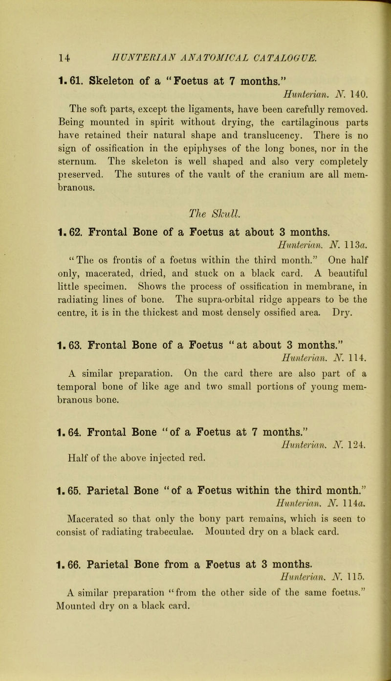 1.61. Skeleton of a “Foetus at 7 months.” Hunterian. N. 140. The soft parts, except the ligaments, have been carefully removed. Being mounted in spirit without drying, the cartilaginous parts have retained their natural shape and translucency. There is no sign of ossification in the epiphyses of the long bones, nor in the sternum. The skeleton is well shaped and also very completely preserved. The sutures of the vault of the cranium are all mem- branous. The Skull. 1.62. Frontal Bone of a Foetus at about 3 months. Hunterian. N. 113a. “The os frontis of a foetus within the third month.” One half only, macerated, dried, and stuck on a black card. A beautiful little specimen. Shows the process of ossification in membrane, in radiating lines of bone. The supra-orbital ridge appears to be the centre, it is in the thickest and most densely ossified area. Dry. 1.63. Frontal Bone of a Foetus “at about 3 months.” Hunterian. N. 114. A similar preparation. On the card there are also part of a temporal bone of like age and two small portions of young mem- branous bone. 1.64. Frontal Bone “of a Foetus at 7 months.” Hunterian. N. 124. Half of the above injected red. 1.65. Parietal Bone “of a Foetus within the third month.” Hunterian. N. 114a. Macerated so that only the bony part remains, which is seen to consist of radiating trabeculae. Mounted dry on a black card. 1.66. Parietal Bone from a Foetus at 3 months. Hunterian. N. 115. A similar preparation “from the other side of the same foetus.” Mounted dry on a black card.