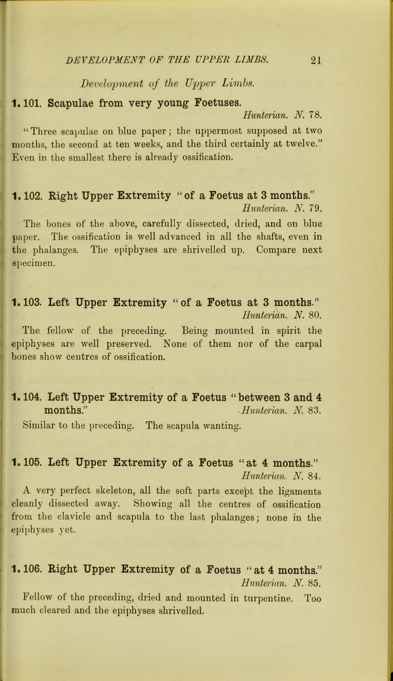 Development of the Upper Limbs. 1.101. Scapulae from very young- Foetuses. Hunterian. N. 78. “Three scapulae on blue paper; the uppermost supposed at two months, the second at ten weeks, and the third certainly at twelve.” Even in the smallest there is already ossification. 1.102. Right Upper Extremity “of a Foetus at 3 months.” Hunterian. N. 79. The bones of the above, carefully dissected, dried, and on blue paper. The ossification is well advanced in all the shafts, even in the phalanges. The epiphyses are shrivelled up. Compare next specimen. 1.103. Left Upper Extremity “of a Foetus at 3 months.” Hunterian. N. 80. The fellow of the preceding. Being mounted in spirit the epiphyses are well preserved. None of them nor of the carpal bones show centres of ossification. 1.104. Left Upper Extremity of a Foetus “between 3 and 4 months.” -Hunterian. N. 83. Similar to the preceding. The scapula wanting. 1.105. Left Upper Extremity of a Foetus “at 4 months.” Hunterian. N. 84. A very perfect skeleton, all the soft parts except the ligaments cleanly dissected away. Showing all the centres of ossification from the clavicle and scapula to the last phalanges; none in the epiphyses yet. 1.106. Right Upper Extremity of a Foetus “at 4 months.” Hunterian. N. 85. Fellow of the preceding, dried and mounted in turpentine. Too much cleared and the epiphyses shrivelled.