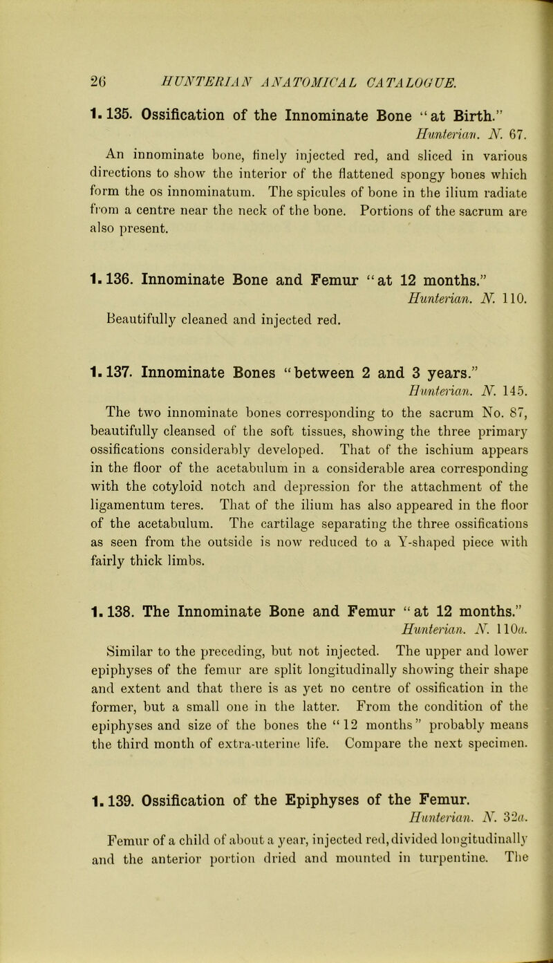 1.135. Ossification of the Innominate Bone “at Birth.” Hunterian. N. 67. An innominate bone, finely injected red, and sliced in various directions to show the interior of the flattened spongy hones which form the os innominatum. The spicules of bone in the ilium radiate from a centre near the neck of the bone. Portions of the sacrum are also present. 1.136. Innominate Bone and Femur “at 12 months.” Hunterian. N. 110. Beautifully cleaned and injected red. 1.137. Innominate Bones “between 2 and 3 years.” Hunterian. N. 145. The two innominate bones corresponding to the sacrum No. 87, beautifully cleansed of the soft tissues, showing the three primary ossifications considerably developed. That of the ischium appears in the floor of the acetabulum in a considerable area corresponding with the cotyloid notch and depression for the attachment of the ligamentum teres. That of the ilium has also appeared in the floor of the acetabulum. The cartilage separating the three ossifications as seen from the outside is now reduced to a Y-shaped piece with fairly thick limbs. 1.138. The Innominate Bone and Femur “at 12 months.” Hunterian. N. 110a. Similar to the preceding, but not injected. The upper and lower epiphyses of the femur are split longitudinally showing their shape and extent and that there is as yet no centre of ossification in the former, but a small one in the latter. From the condition of the epiphyses and size of the bones the “12 months” probably means the third month of extra-uterine life. Compare the next specimen. 1.139. Ossification of the Epiphyses of the Femur. Hunterian. N. 32a. Femur of a child of about a year, injected red, divided longitudinally and the anterior portion dried and mounted in turpentine. The