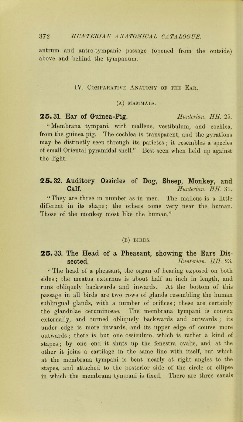 antrum and antro-tympanic passage (opened from the outside) above and behind the tympanum. IV. Comparative Anatomy of the Ear. (a) mammals. 25.31. Ear of Guinea-Pig. Hunterian. IIH. 25. “Membrana tympani, with malleus, vestibulum, and cochlea, from the guinea pig. The cochlea is transparent, and the gyrations may be distinctly seen through its parietes ; it resembles a species of small Oriental pyramidal shell.” Best seen when held up against the light. 25.32. Auditory Ossicles of Dog, Sheep, Monkey, and Calf. Hunterian. HH. 31. “ They are three in number as in men. The malleus is a little different in its shape; the others come very near the human. Those of the monkey most like the human.” (b) birds. 25.33. The Head of a Pheasant, showing the Ears Dis- sected. Hunterian. HH. 23. “ The head of a pheasant, the organ of hearing exposed on both sides; the meatus externus is about half an inch in length, and runs obliquely backwards and inwards. At the bottom of this passage in all birds are two rows of glands resembling the human sublingual glands, with a number of orifices; these are certainly the glandulae ceruminosae. The membrana tympani is convex externally, and turned obliquely backwards and outwards ; its under edge is more inwards, and its upper edge of course more outwards; there is but one ossiculum, which is rather a kind of stapes; by one end it shuts up the fenestra ovalis, and at the other it joins a cartilage in the same line with itself, but which at the membrana tympani is bent nearly at right angles to the stapes, and attached to the posterior side of the circle or ellipse in which the membrana tympani is fixed. There are three canals