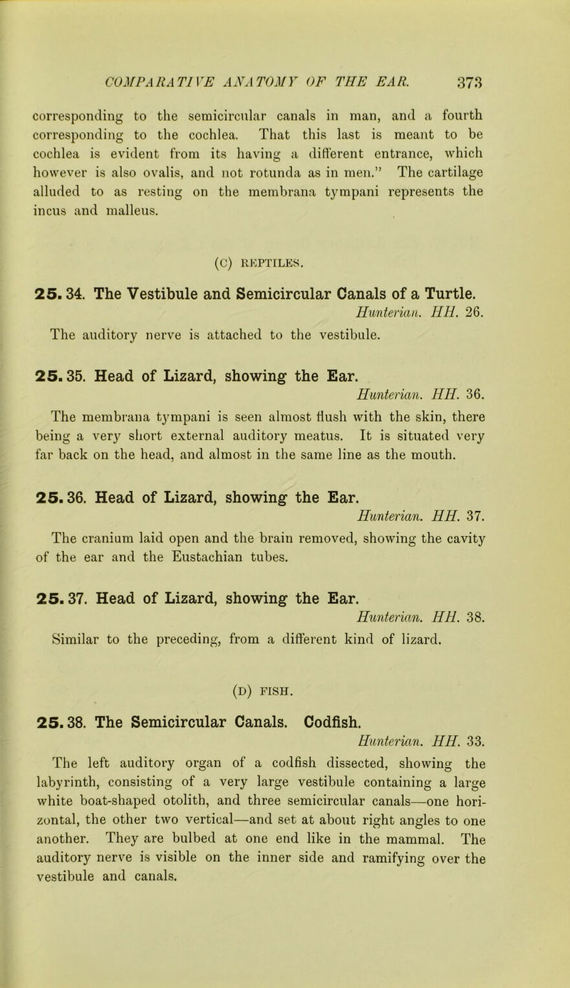 corresponding to the semicircular canals in man, and a fourth corresponding to the cochlea. That this last is meant to be cochlea is evident from its having a different entrance, which however is also ovalis, and not rotunda as in men.” The cartilage alluded to as resting on the membrana tympani represents the incus and malleus. (C) REPTILES. 25.34. The Vestibule and Semicircular Canals of a Turtle. Hunterian. Mil. 26. The auditory nerve is attached to the vestibule. 25.35. Head of Lizard, showing the Ear. Hunterian. HH. 36. The membrana tympani is seen almost Hush with the skin, there being a very short external auditory meatus. It is situated very far back on the head, and almost in the same line as the mouth. 25.36. Head of Lizard, showing the Ear. Hunterian. HH. 37. The cranium laid open and the brain removed, showing the cavity of the ear and the Eustachian tubes. 25. 37. Head of Lizard, showing the Ear. Hunterian. HH. 38. Similar to the preceding, from a different kind of lizard. (d) FISH. 25.38. The Semicircular Canals. Codfish. Hunterian. HH. 33. The left auditory organ of a codfish dissected, showing the labyrinth, consisting of a very large vestibule containing a large white boat-shaped otolith, and three semicircular canals—one hori- zontal, the other two vertical—and set at about right angles to one another. They are bulbed at one end like in the mammal. The auditory nerve is visible on the inner side and ramifying over the vestibule and canals.