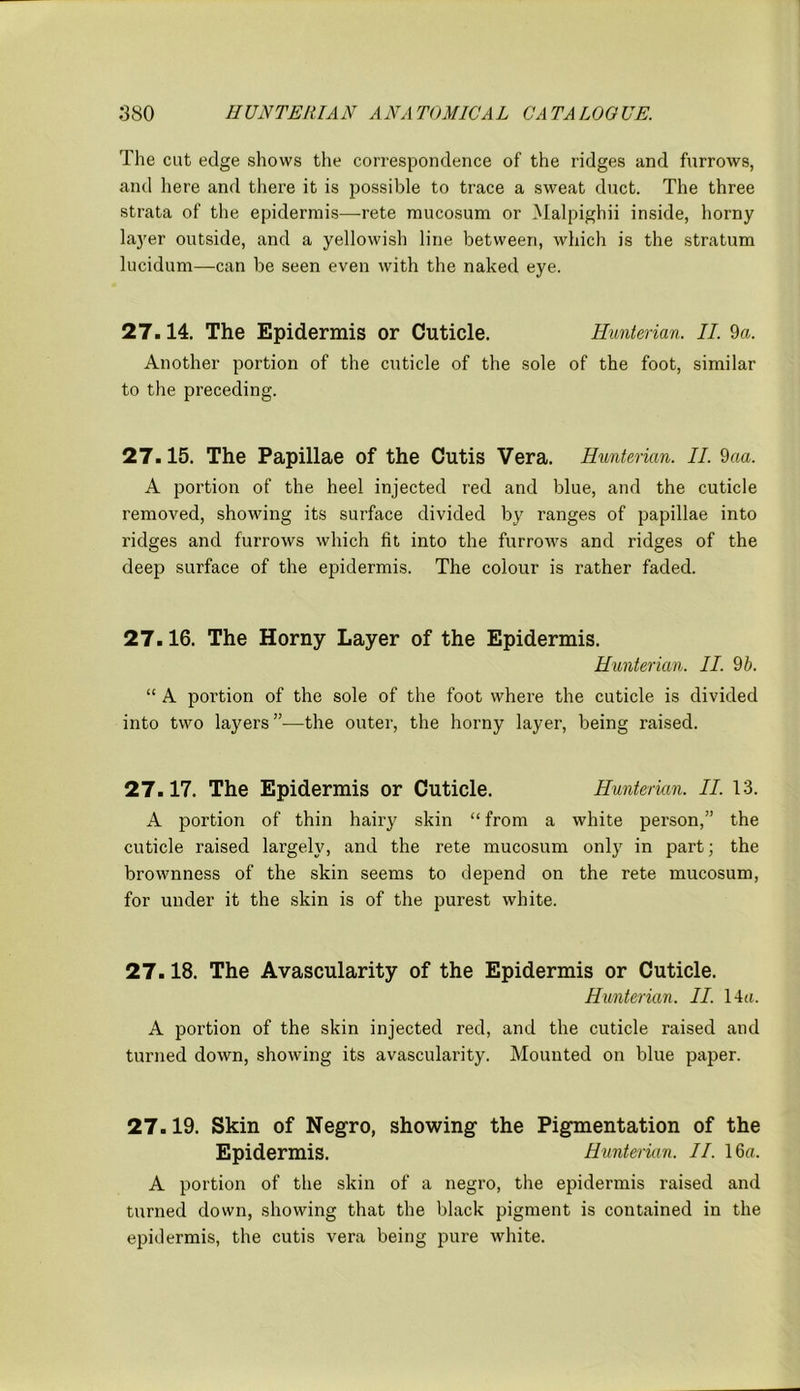 The cut edge shows the correspondence of the ridges and furrows, and here and there it is possible to trace a sweat duct. The three strata of the epidermis—rete mucosum or Malpighii inside, horny layer outside, and a yellowish line between, which is the stratum lucidum—can be seen even with the naked eye. 27.14. The Epidermis or Cuticle. Hunterian. II. 9a. Another portion of the cuticle of the sole of the foot, similar to the preceding. 27.15. The Papillae of the Cutis Vera. Hunterian. II. 9aa. A portion of the heel injected red and blue, and the cuticle removed, showing its surface divided by ranges of papillae into ridges and furrows which fit into the furrows and ridges of the deep surface of the epidermis. The colour is rather faded. 27.16. The Horny Layer of the Epidermis. Hunterian. II. 9 b. “ A portion of the sole of the foot where the cuticle is divided into two layers ”—the outer, the horny layer, being raised. 27.17. The Epidermis or Cuticle. Hunterian. II. 13. A portion of thin hairy skin “ from a white person,” the cuticle raised largely, and the rete mucosum only in part; the brownness of the skin seems to depend on the rete mucosum, for under it the skin is of the purest white. 27.18. The Avascularity of the Epidermis or Cuticle. Hunterian. II. 14a. A portion of the skin injected red, and the cuticle raised and turned down, showing its avascularity. Mounted on blue paper. 27.19. Skin of Negro, showing1 the Pigmentation of the Epidermis. Hunterian. II. 16a. A portion of the skin of a negro, the epidermis raised and turned down, showing that the black pigment is contained in the epidermis, the cutis vera being pure white.