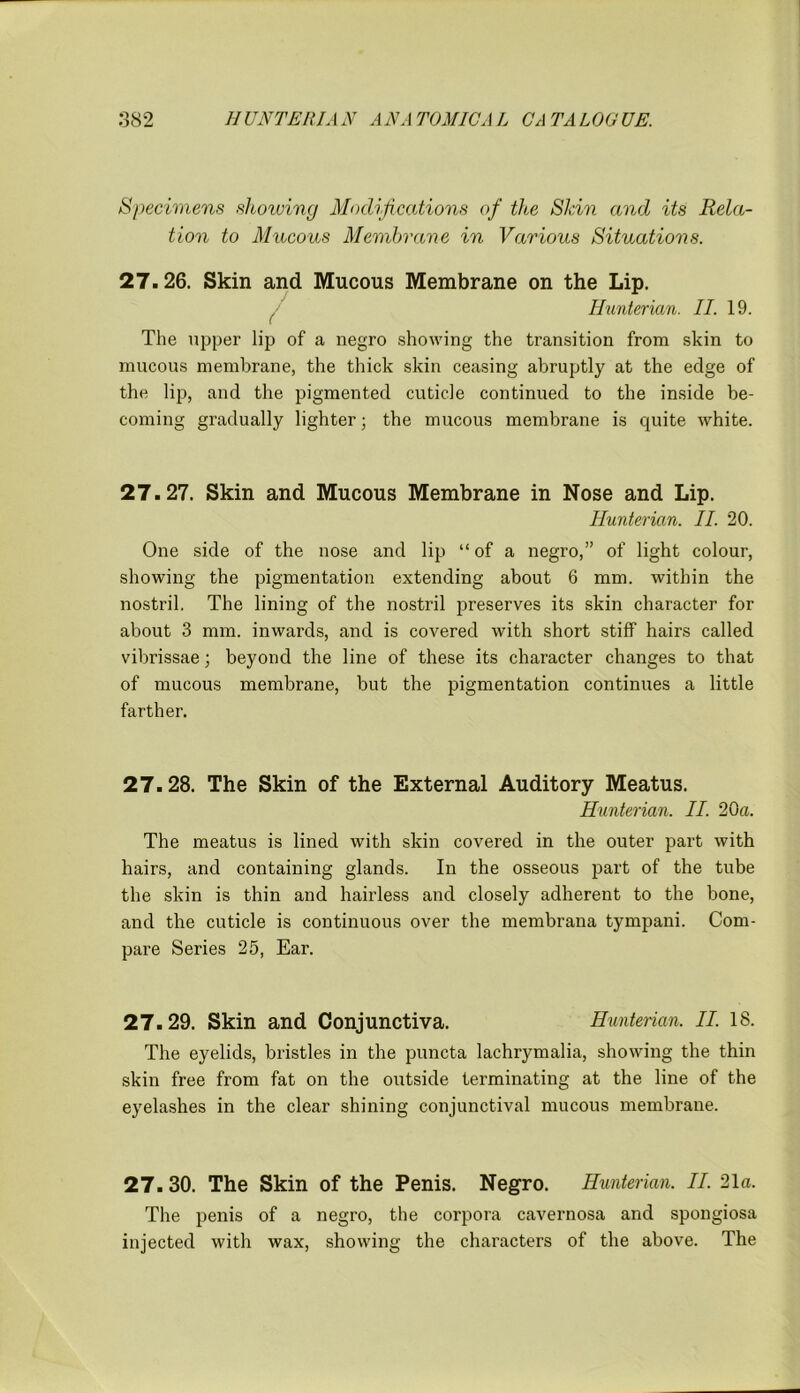 Specimens showing Modifications of the Skin and its Rela- tion to Mucous Membrane in Various Situations. 27.26. Skin and Mucous Membrane on the Lip. Hunterian. II. 19. The upper lip of a negro showing the transition from skin to mucous membrane, the thick skin ceasing abruptly at the edge of the lip, and the pigmented cuticle continued to the inside be- coming gradually lighter; the mucous membrane is quite white. 27.27. Skin and Mucous Membrane in Nose and Lip. Hunterian. II. 20. One side of the nose and lip “of a negro,” of light colour, showing the pigmentation extending about 6 mm. within the nostril. The lining of the nostril preserves its skin character for about 3 mm. inwards, and is covered with short stiff hairs called vibrissae; beyond the line of these its character changes to that of mucous membrane, but the pigmentation continues a little farther. 27.28. The Skin of the External Auditory Meatus. Hunterian. II. 20a. The meatus is lined with skin covered in the outer part with hairs, and containing glands. In the osseous part of the tube the skin is thin and hairless and closely adherent to the bone, and the cuticle is continuous over the membrana tympani. Com- pare Series 25, Ear. 27.29. Skin and Conjunctiva. Hunterian. II. 18. The eyelids, bristles in the puncta lachrymalia, showing the thin skin free from fat on the outside terminating at the line of the eyelashes in the clear shining conjunctival mucous membrane. 27.30. The Skin of the Penis. Negro. Hunterian. II. 21 a. The penis of a negro, the corpora cavernosa and spongiosa injected with wax, showing the characters of the above. The