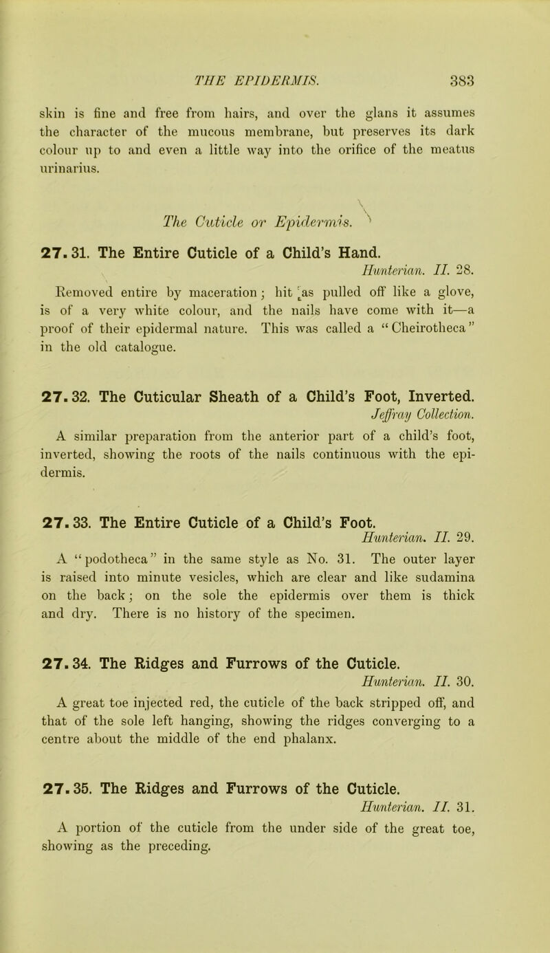 skin is fine and free from hairs, and over the glans it assumes the character of the mucous membrane, but preserves its dark colour up to and even a little way into the orifice of the meatus urinarius. The Cuticle or Epidermis. ' 27. 31. The Entire Cuticle of a Child’s Hand. Hunterian. II. 28. Removed entire by maceration ; hit As pulled off like a glove, is of a very white colour, and the nails have come with it—a proof of their epidermal nature. This was called a “ Cheirotheca ” in the old catalogue. 27.32. The Cuticular Sheath of a Child’s Foot, Inverted. Jeffray Collection. A similar preparation from the anterior part of a child’s foot, inverted, showing the roots of the nails continuous with the epi- dermis. 27.33. The Entire Cuticle of a Child’s Foot. Hunterian. II. 29. A “podotheca” in the same style as No. 31. The outer layer is raised into minute vesicles, which are clear and like sudamina on the back; on the sole the epidermis over them is thick and dry. There is no history of the specimen. 27.34. The Ridges and Furrows of the Cuticle. Hunterian. II. 30. A great toe injected red, the cuticle of the back stripped off, and that of the sole left hanging, showing the ridges converging to a centre about the middle of the end phalanx. 27.35. The Ridges and Furrows of the Cuticle. Hunterian. II. 31. A portion of the cuticle from the under side of the great toe, showing as the preceding.