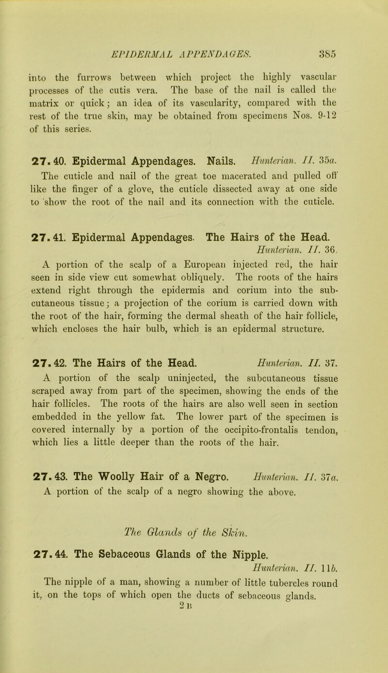 El UDERM A L A rPENDA O'ER. 3S5 into the furrows between which project the highly vascular processes of the cutis vera. The base of the nail is called the matrix or quick; an idea of its vascularity, compared with the rest of the true skin, may be obtained from specimens Nos. 9-12 of this series. 27. 40. Epidermal Appendages. Nails. Hunterian. II. 35a. The cuticle and nail of the great toe macerated and pulled oh' like the finger of a glove, the cuticle dissected away at one side to show the root of the nail and its connection with the cuticle. 27.41. Epidermal Appendages. The Hairs of the Head. Hunterian. II. 36 A portion of the scalp of a European injected red, the hair seen in side view cut somewhat obliquely. The roots of the hairs extend right through the epidermis and corium into the sub- cutaneous tissue; a projection of the corium is carried down with the root of the hair, forming the dermal sheath of the hair follicle, which encloses the hair bulb, which is an epidermal structure. 27.42. The Hairs of the Head. Hunterian. II. 37. A portion of the scalp uninjected, the subcutaneous tissue scraped away from part of the specimen, showing the ends of the hair follicles. The roots of the hairs are also well seen in section embedded in the yellow fat. The lower part of the specimen is covered internally by a portion of the occipito-frontalis tendon, which lies a little deeper than the roots of the hair. 27. 43. The Woolly Hair of a Negro. Hunterian. II. 37a. A portion of the scalp of a negro showing the above. The Glands of the Skin. 27.44. The Sebaceous Glands of the Nipple. Hunterian. II. 11 b. The nipple of a man, showing a number of little tubercles round it, on the tops of which open the ducts of sebaceous glands. 2 B