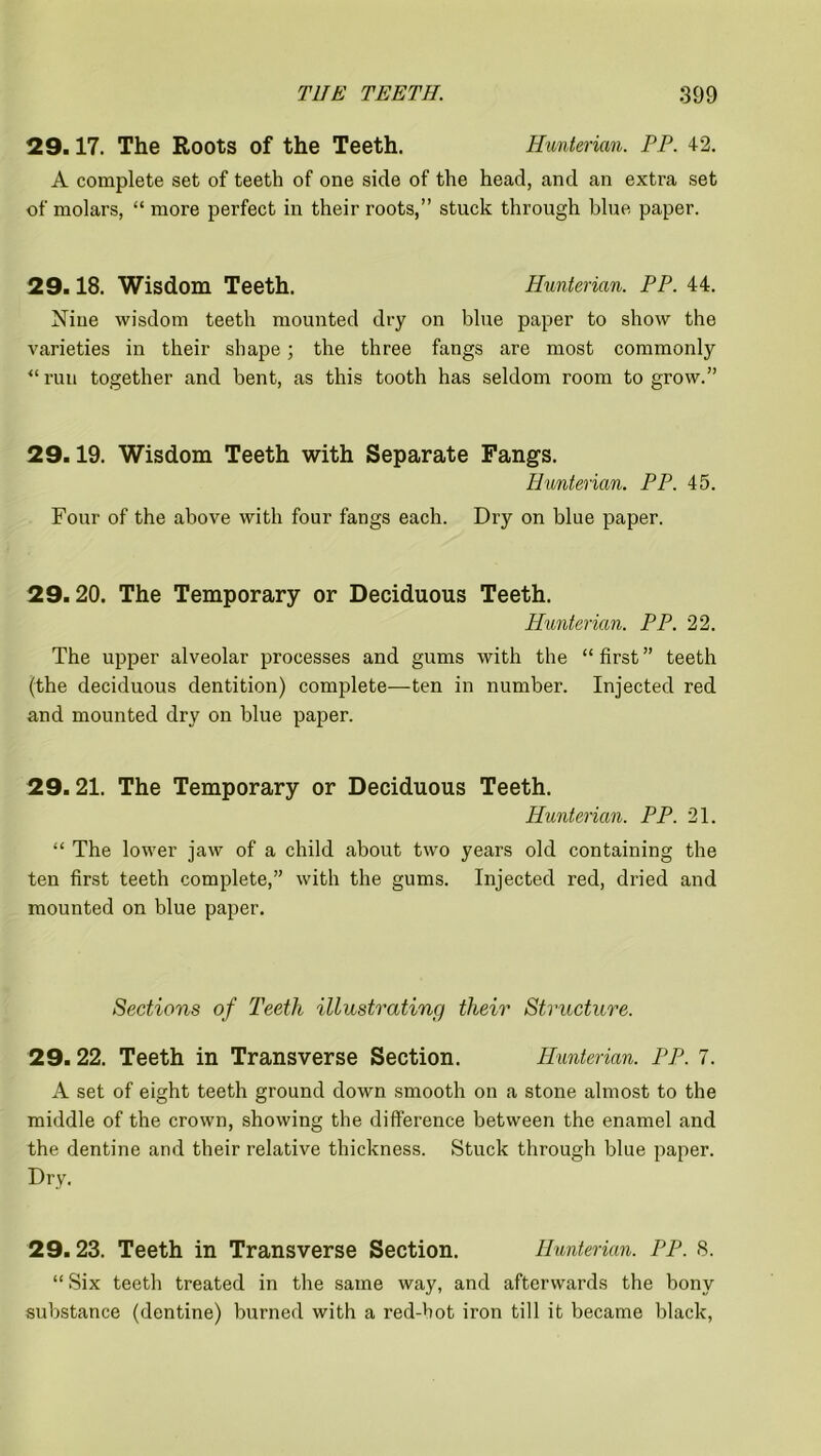 29.17. The Roots of the Teeth. Hunterian. PP. 42. A complete set of teeth of one side of the head, and an extra set of molars, “ more perfect in their roots,” stuck through blue paper. 29.18. Wisdom Teeth. Hunterian. PP. 44. Niue wisdom teeth mounted dry on blue paper to show the varieties in their shape; the three fangs are most commonly “ run together and bent, as this tooth has seldom room to grow.” 29.19. Wisdom Teeth with Separate Fangs. Hunterian. PP. 45. Four of the above with four fangs each. Dry on blue paper. 29.20. The Temporary or Deciduous Teeth. Hunterian. PP. 22. The upper alveolar processes and gums with the “ first ” teeth (the deciduous dentition) complete—ten in number. Injected red and mounted dry on blue paper. 29.21. The Temporary or Deciduous Teeth. Hunterian. PP. 21. “ The lower jaw of a child about two years old containing the ten first teeth complete,” with the gums. Injected red, dried and mounted on blue paper. Sections of Teeth illustrating their Structure. 29.22. Teeth in Transverse Section. Hunterian. PP. 7. A set of eight teeth ground down smooth on a stone almost to the middle of the crown, showing the difference between the enamel and the dentine and their relative thickness. Stuck through blue paper. Dry. 29.23. Teeth in Transverse Section. Hunterian. PP. 8. “ Six teeth treated in the same way, and afterwards the bony substance (dentine) burned with a red-hot iron till it became black,